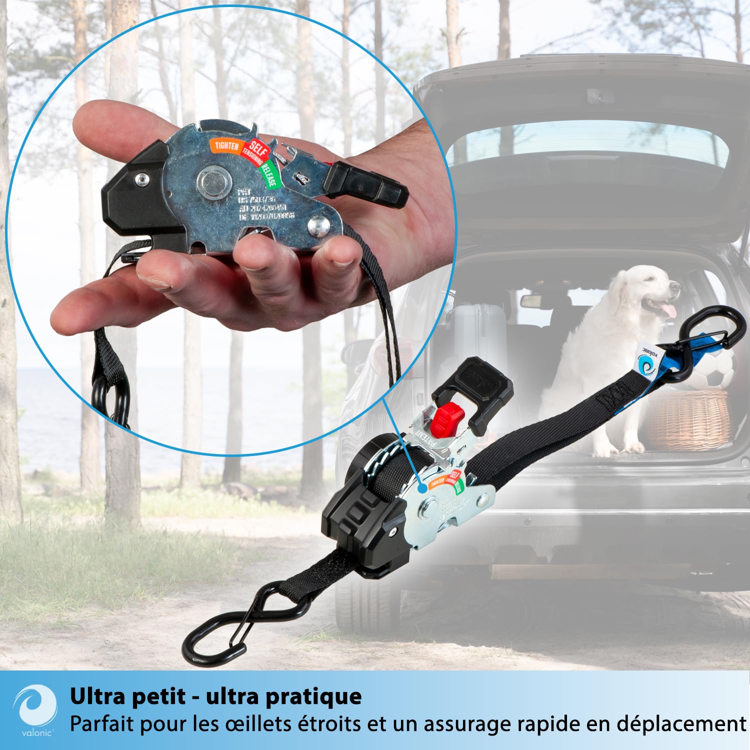 valonic Creta, Mini Sangle a cliquet 2 m, pour Coffre et remorque, Lot de 4, 150 kg Force d'arrimage, 19 mm, Sangles, pour Auto et Transport, pour Trajet Quotidien