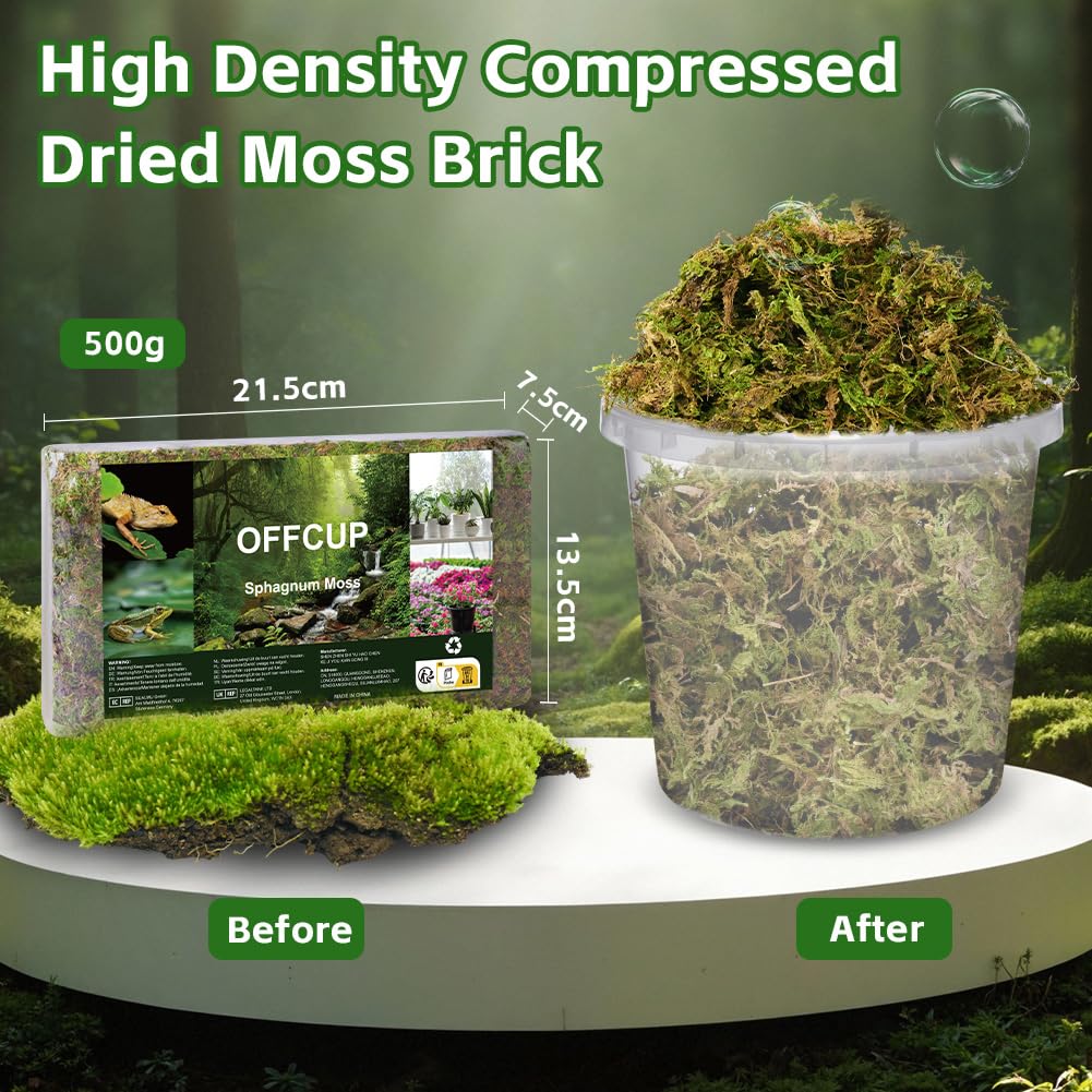 OFFCUP Natural Moss, 500g Dried Forest Moss for Maintain Humidity Terrarium Decor, Orchid Soil Medium - Image 2