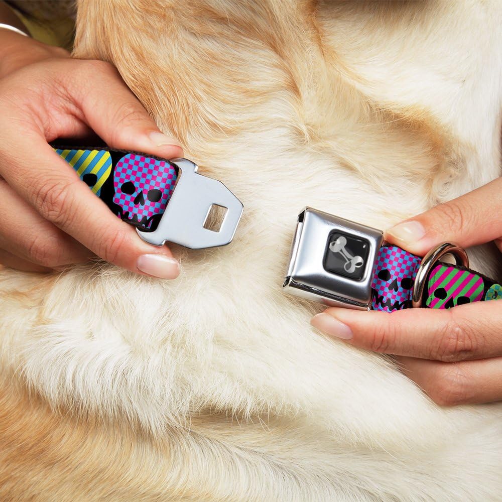 Buckle-Down Seatbelt Buckle Dog Collar - Checker & Stripe Skulls Black/Multi Neon - 1.5" Wide - Fits 18-32" Neck - Large