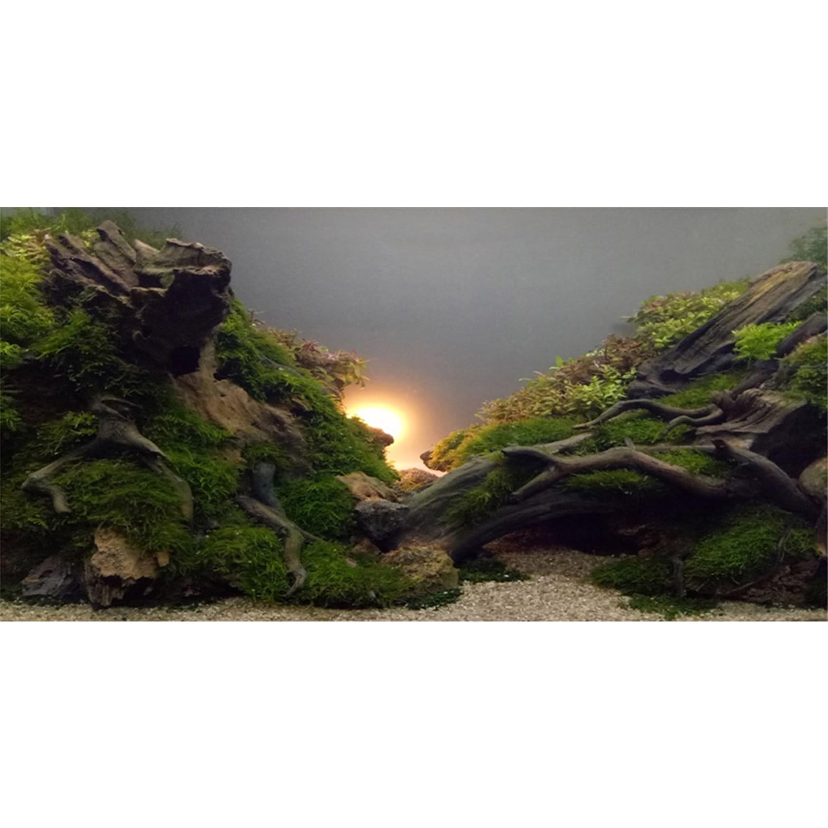 MIRRORANG 180x46cm River Bed & Lake Aquarium Background Sunshine Aquatic Plant Fish Tank Background Vinyl — image 1