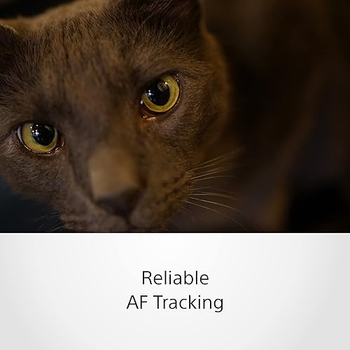 Sony FE SEL35F18F 35mm f/1.8 — nuotrauka 5