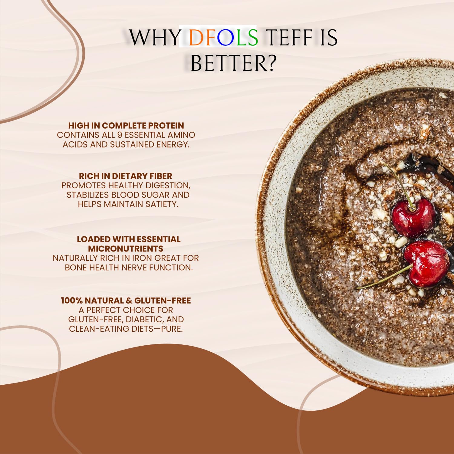 DFOLS Chia Seeds Tiny Whole Grain Nutty Crunch for Healthy Cooking 0.55lb 8.82oz (250g) Premium Quality チアシード