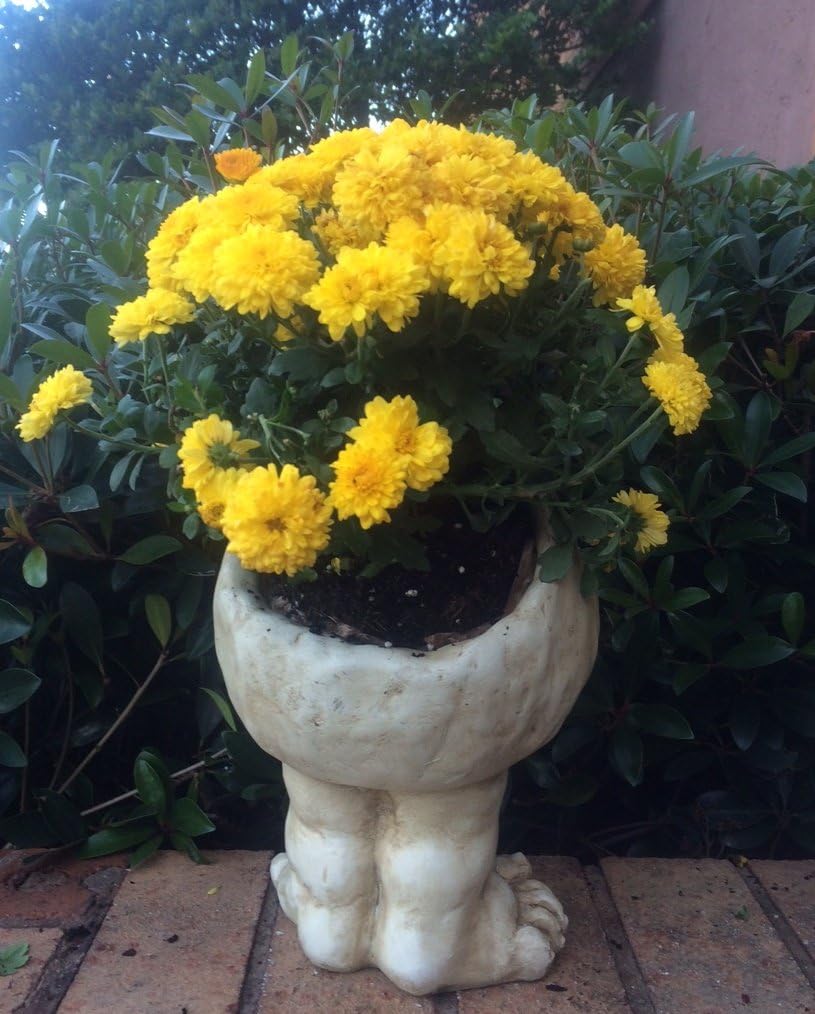 Muggly's Homestyles 37394 Sisters Daisy and Suzy Q 12" Face Planter Antique White Garden Statue