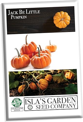 Jack Be Little - Semillas de calabaza para plantar, 10 semillas tradicionales por paquete, semillas de jardín de Isla (semillas de jardín de Isla),