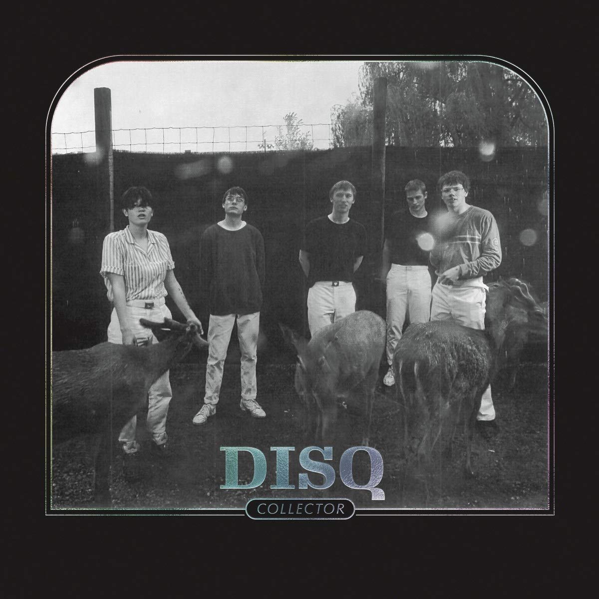 COLLECTOR [VINYL]