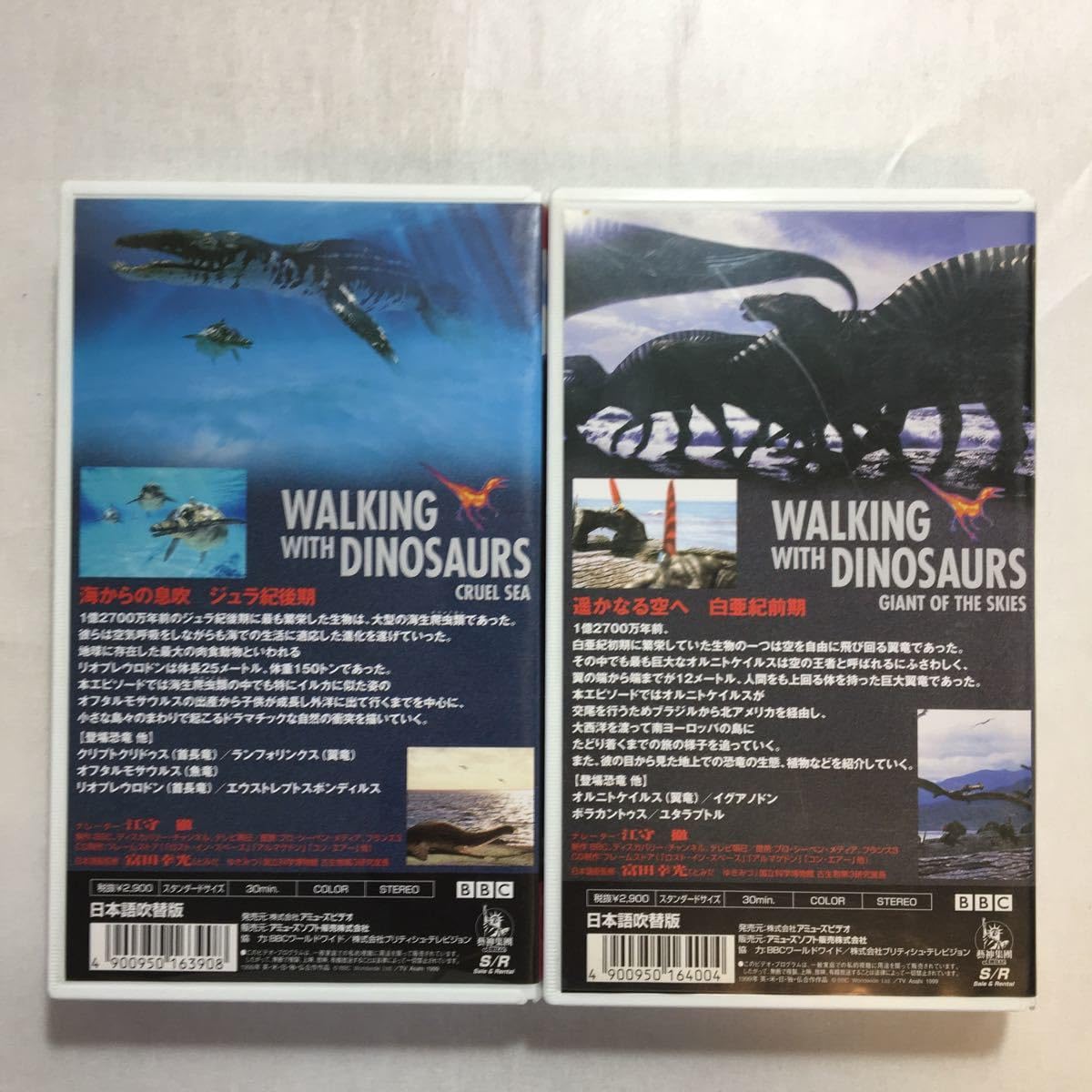 VHS 動物と自然のビデオ　ジオ・ワールド　全10巻セット　中古 VHS 動物と自然のビデオ ジオ・ワールド 全10巻セット 中古