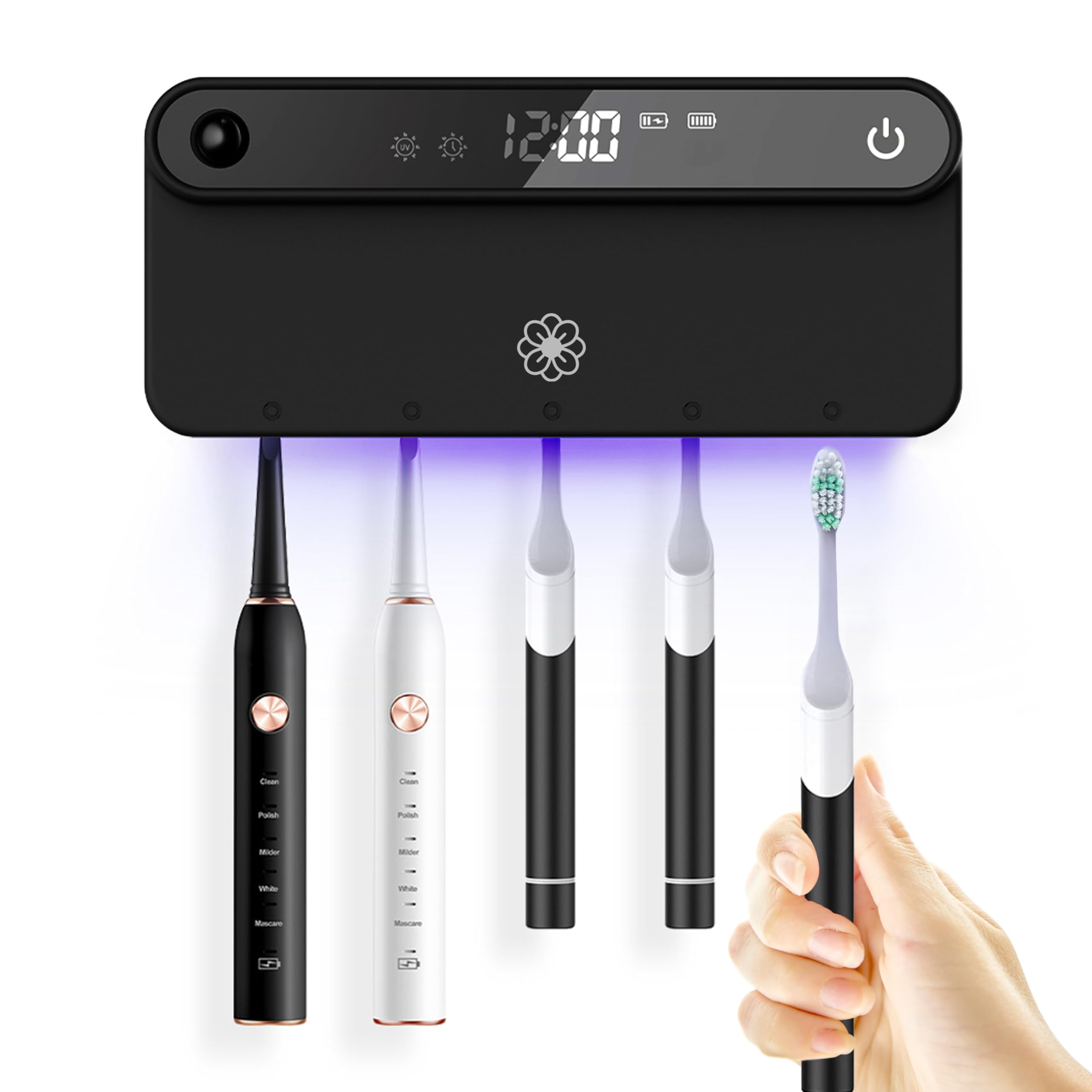 Amazon.com: Bloom Toothbrush Sanitizer and Holder for Bathroom