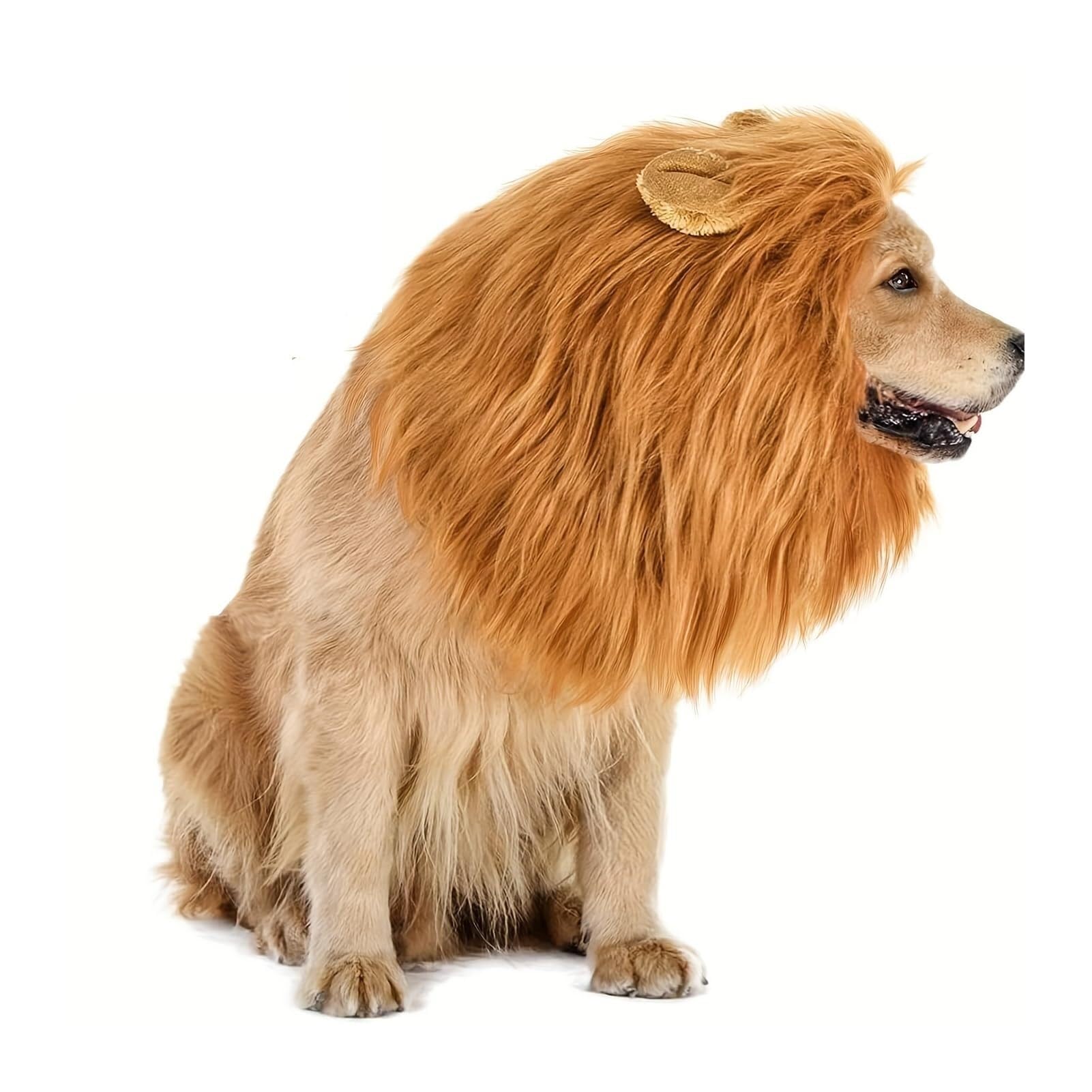 Black lion Mane for Dog, Lion Mane for Dog, lion mane costume for dog, Realistic Lion Mane Wig,Pet Clothes Adjustable lion Mane Costume for Dog with Ears for Medium and Large Dog Dress up (Color : Re