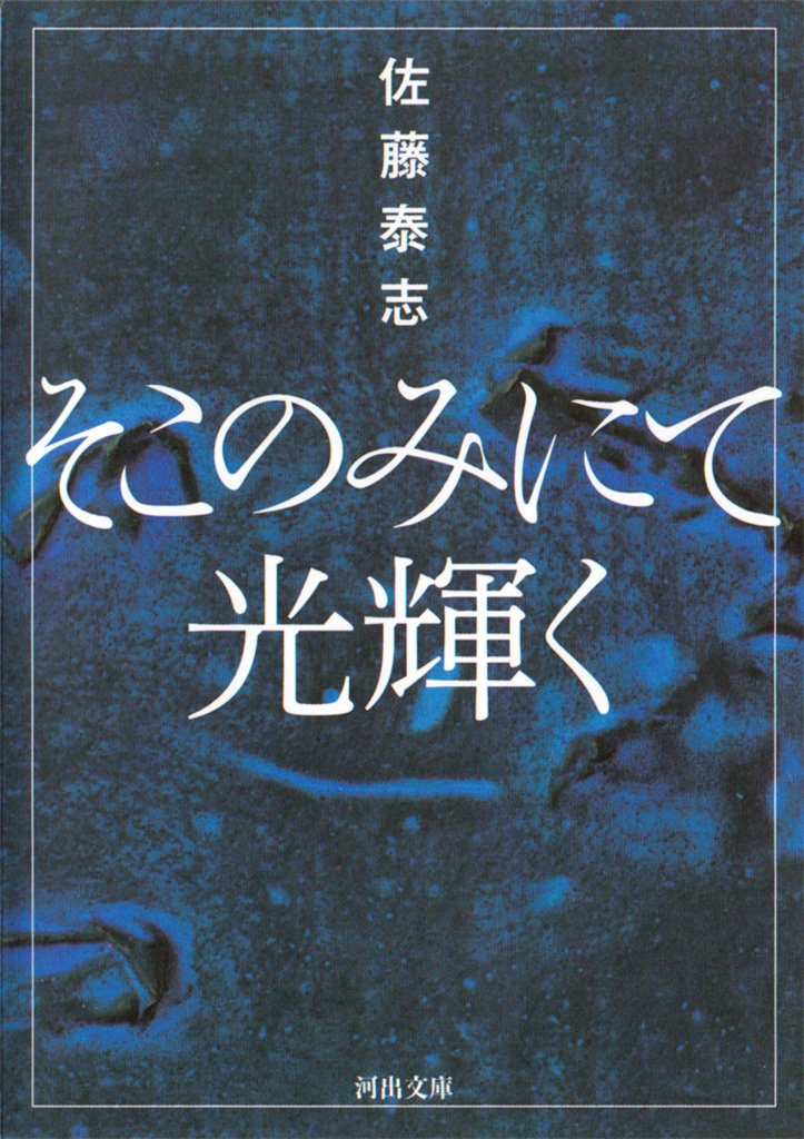 Amazon.co.jp: 佐藤 泰志: 本、バイオグラフィー、最新アップデート