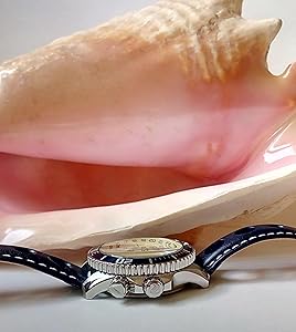 Amazon.com: Vostok Original Mens Watch Amfibia Reef 080480 GMT