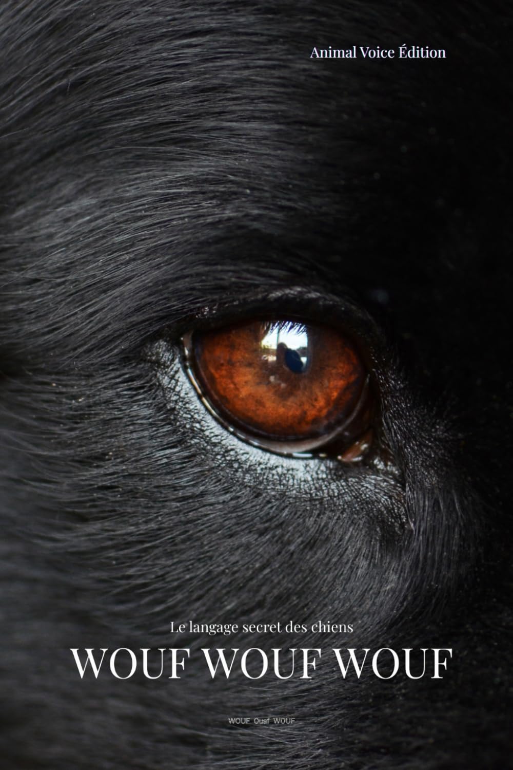 WOUF WOUF WOUF: Le langage secret des chiens