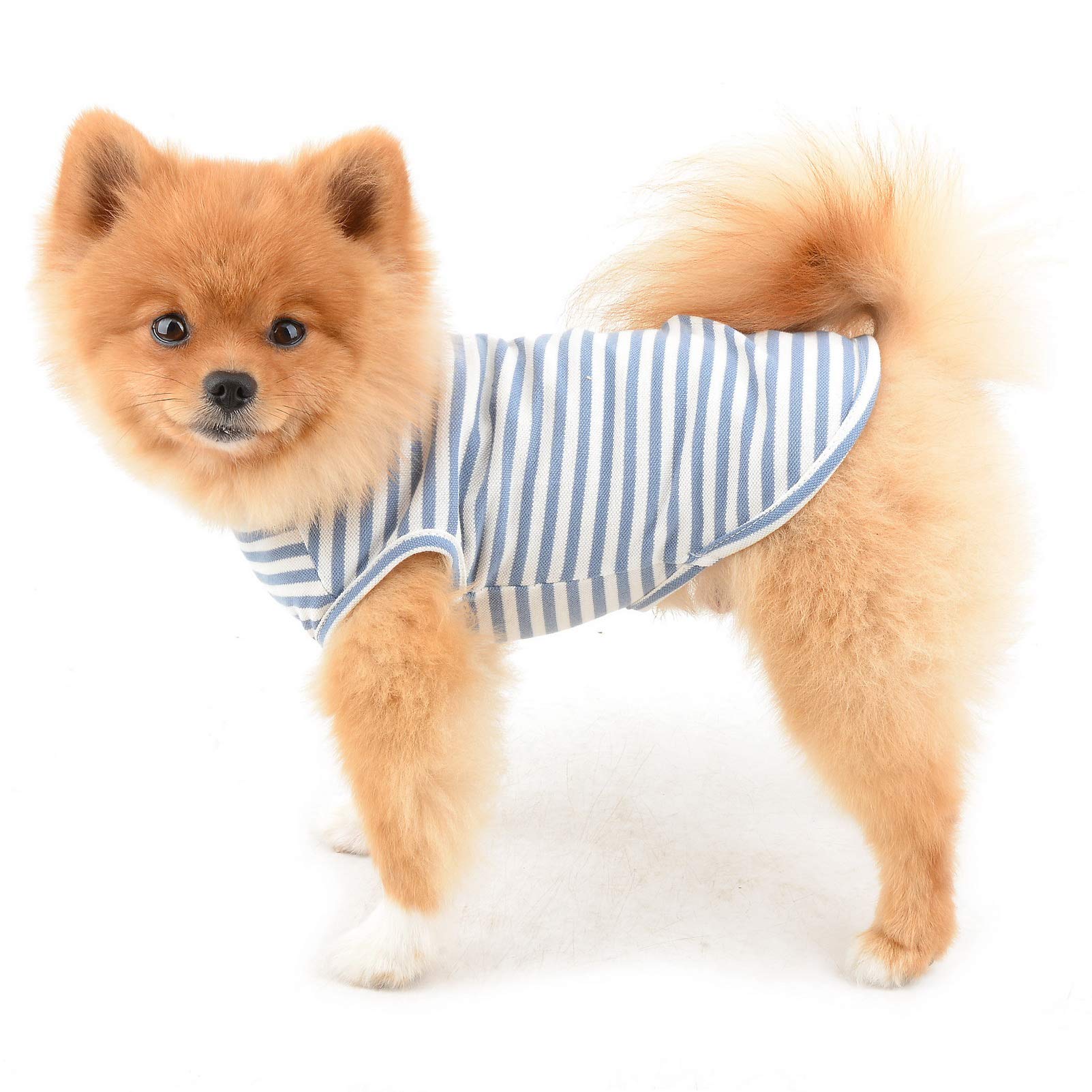 PAIDEFUL Stripe Dog Shirt for Small Medium Dogs Girls Boys Puppies Comfy Cotton Sleeveless Pet t Shirts for Cats Apparel Chihuahua Clothes Tank Tops Vest Tee Spring Summer Wearing Outdoor