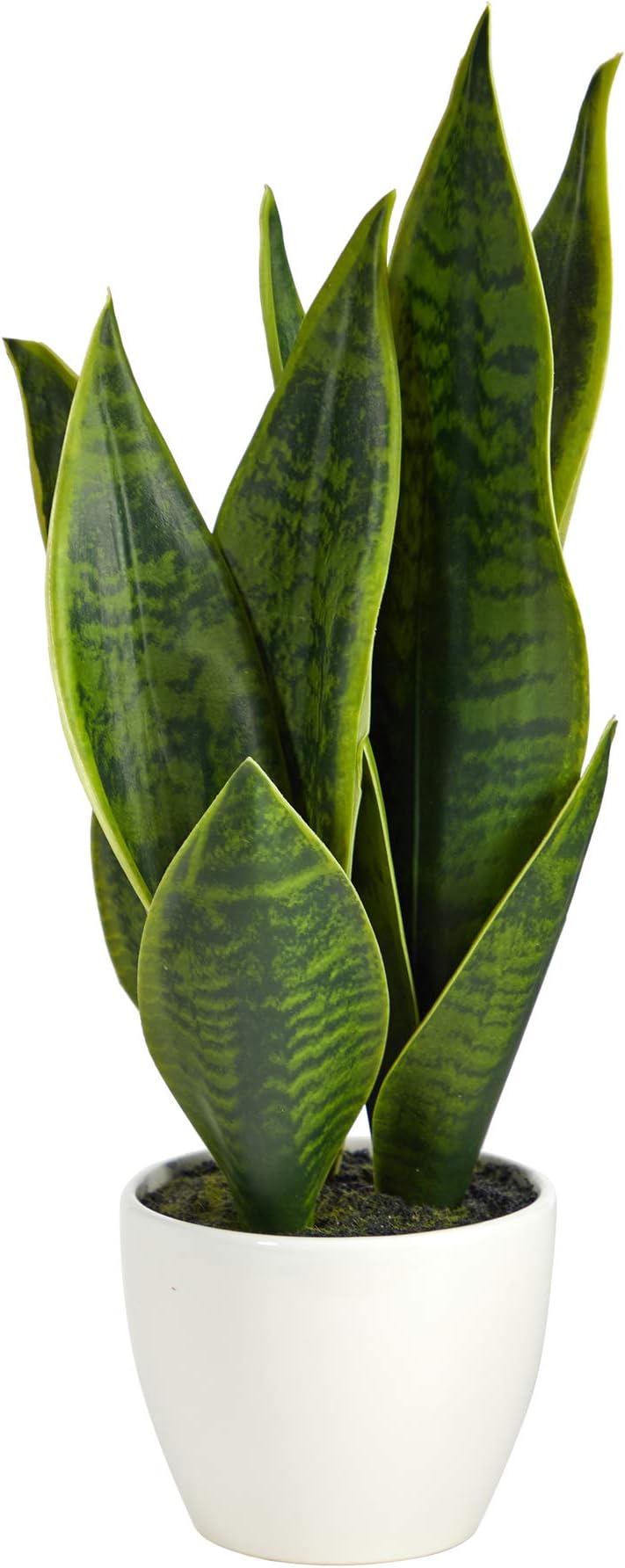 Nearly Natural16in. Sansevieria Artificial Plant