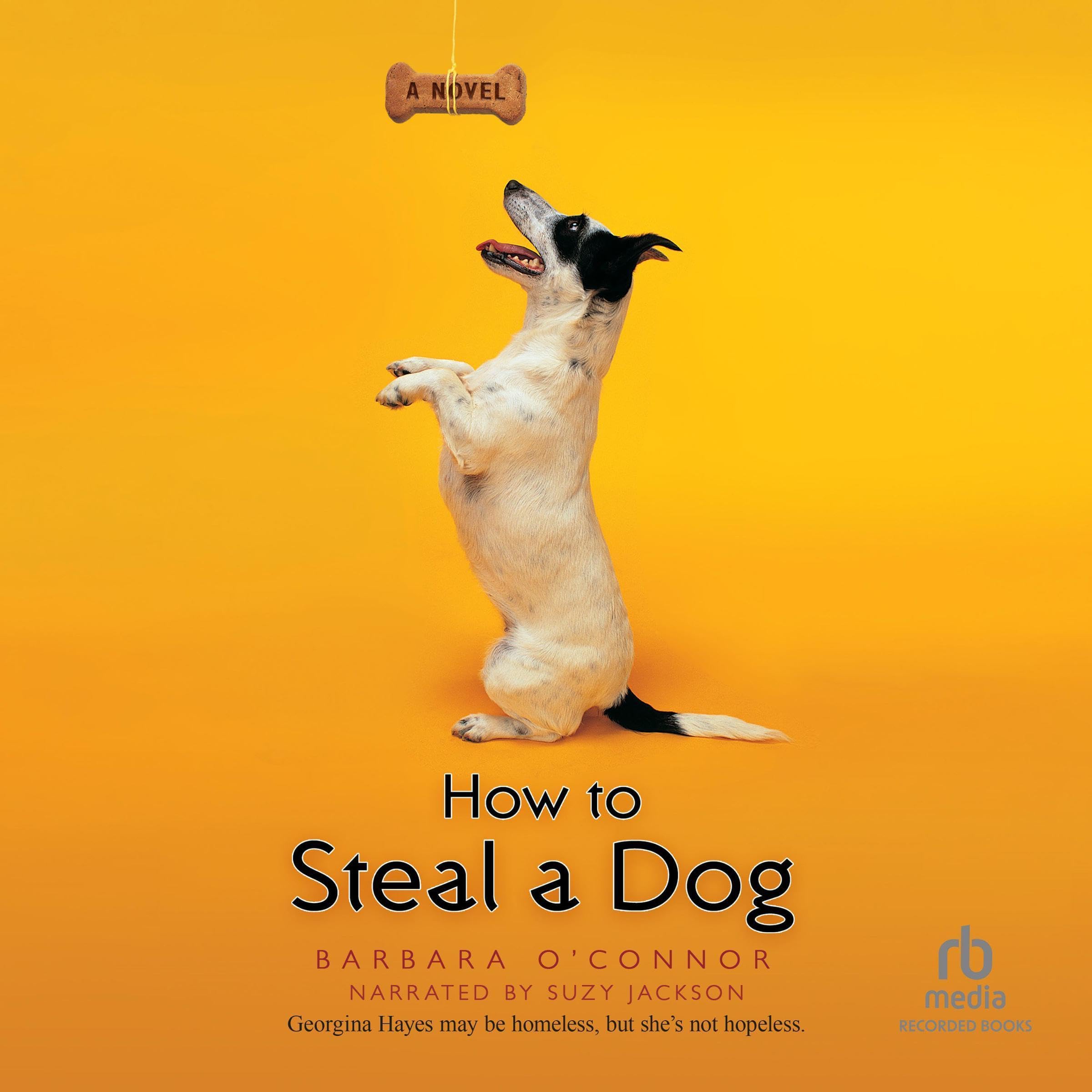 Cover art for How to Steal a Dog