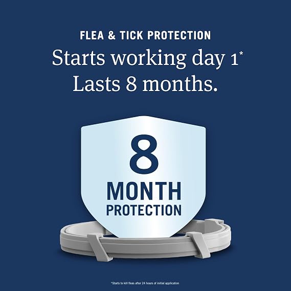 PetArmor Extend Flea & Tick Treatment & Prevention Collar for Cats, 8 Months of Protection, 2 Count