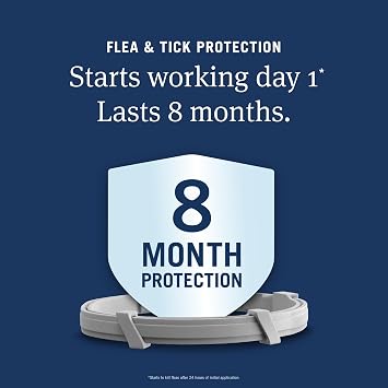 PetArmor Extend Flea & Tick Treatment & Prevention Collar for Cats, 8 Months of Protection, 2 Count