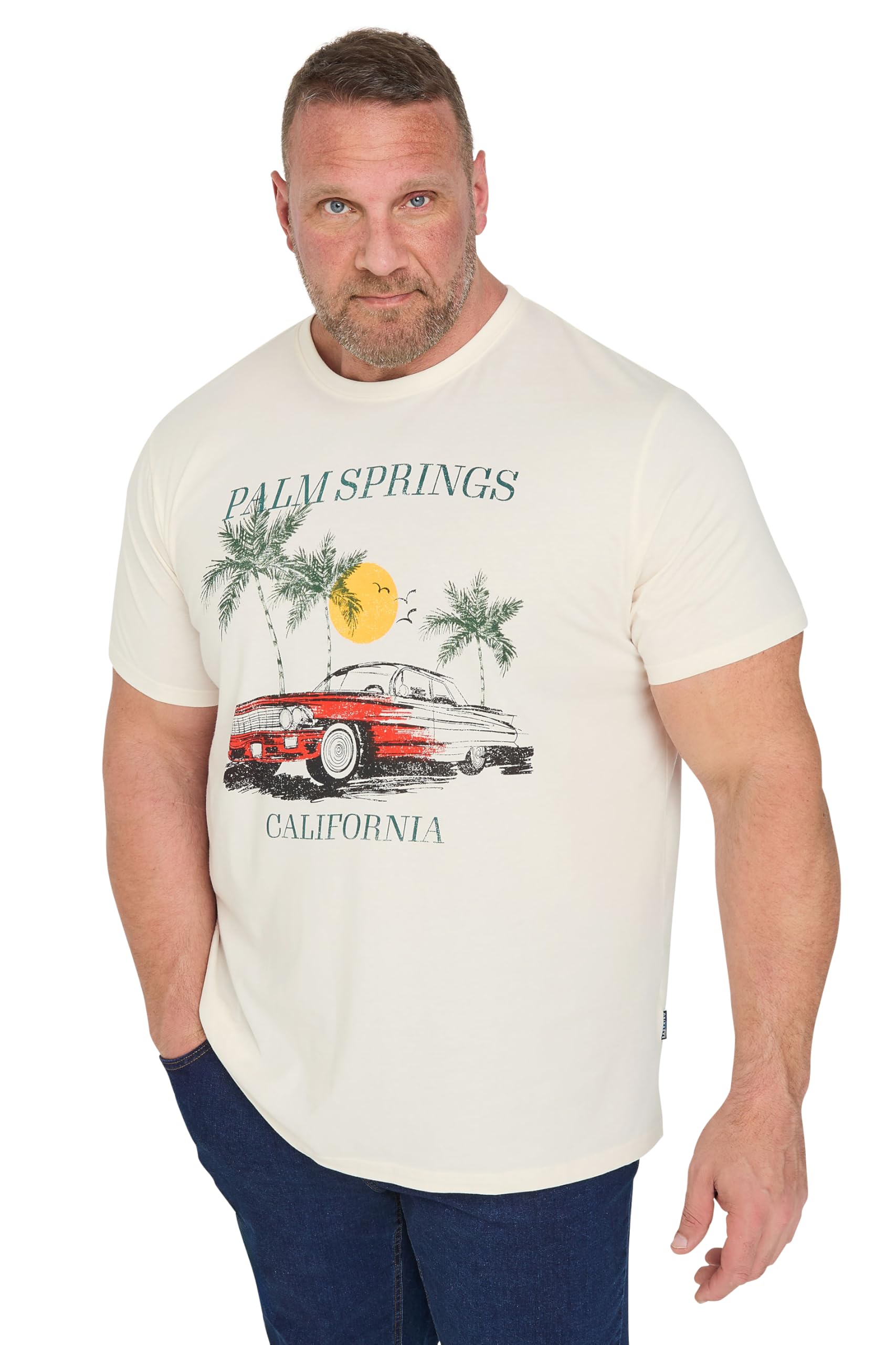 Badrhino Men's White Big & Tall 'Palm Springs' Graphic T-Shirt - Plus Size Curve