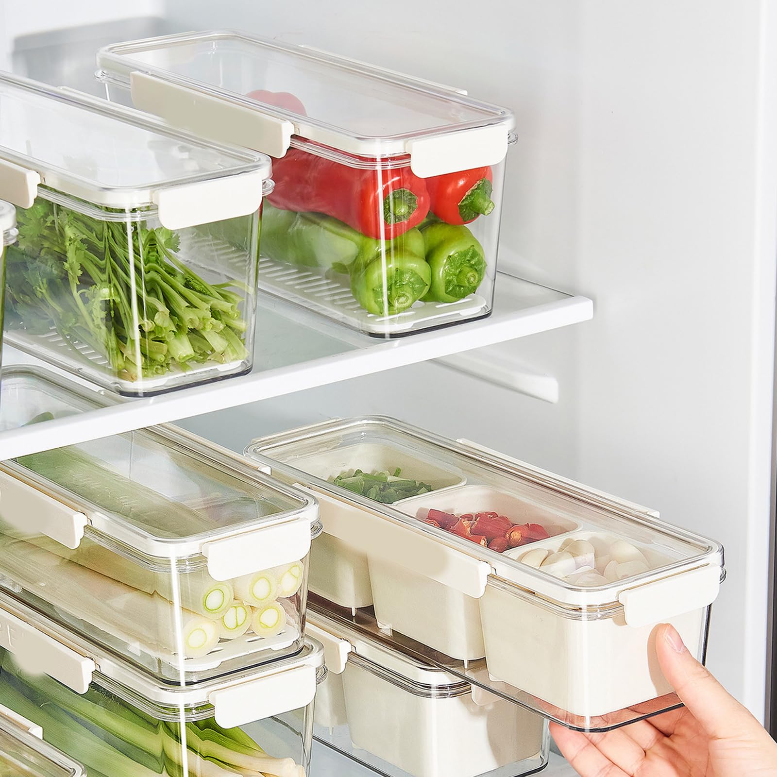 Generisch Contenitore trasparente per spezie con diversi scomparti per uso organizzato in cucina e ristorante. Grande contenitore trasparente per spezie, ideale per la cucina domestica