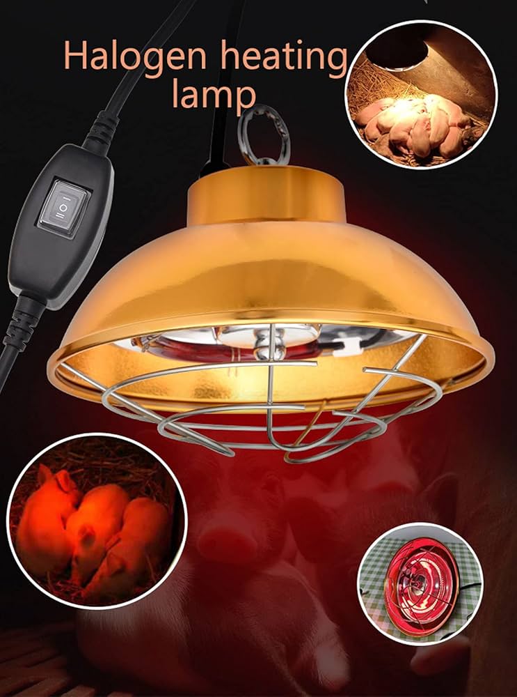Heat Lamp Safety Grange Coop
