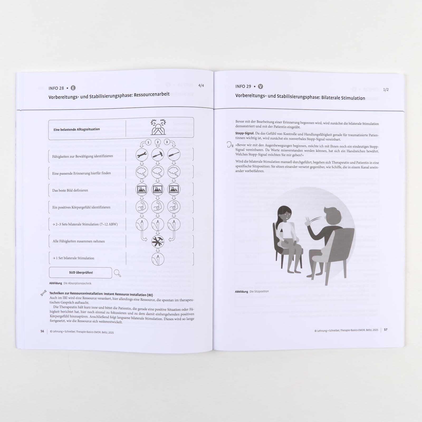 Therapie-Basics EMDR: Mit Online-Material (Beltz Therapie-Basics)