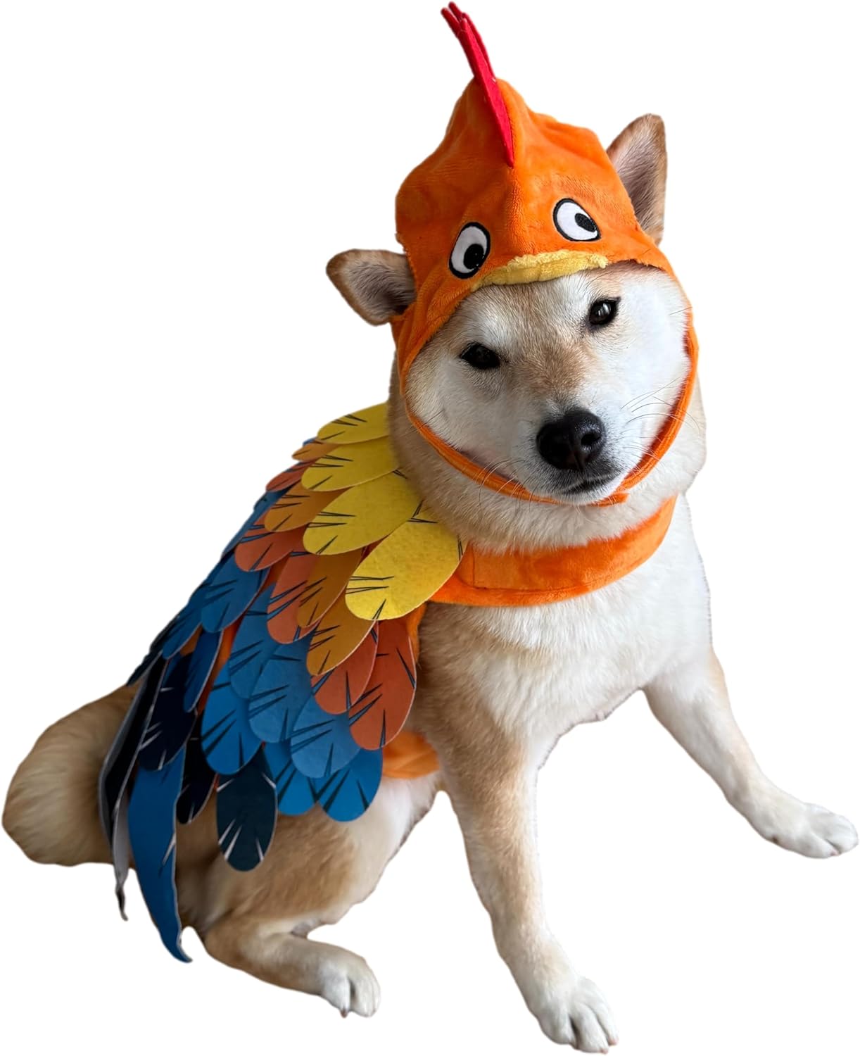 Disfraz de pollo para perro ComfyCamper, talla L