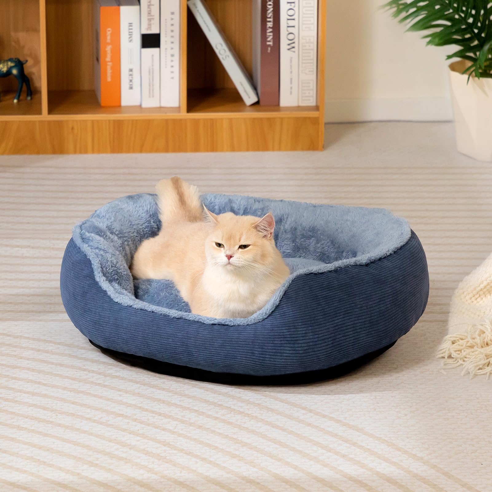 Hollypet Cat Bed Small Dog Bed, Round Pet Bed for Cats and Puppy Soft Sleeping Beds Breathable Pet Cushion, Blue-Grey(55 * 50 * 15cm) - Image 3