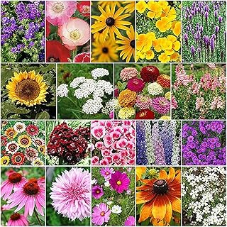 Fall Blooming Mix of Wildflowers