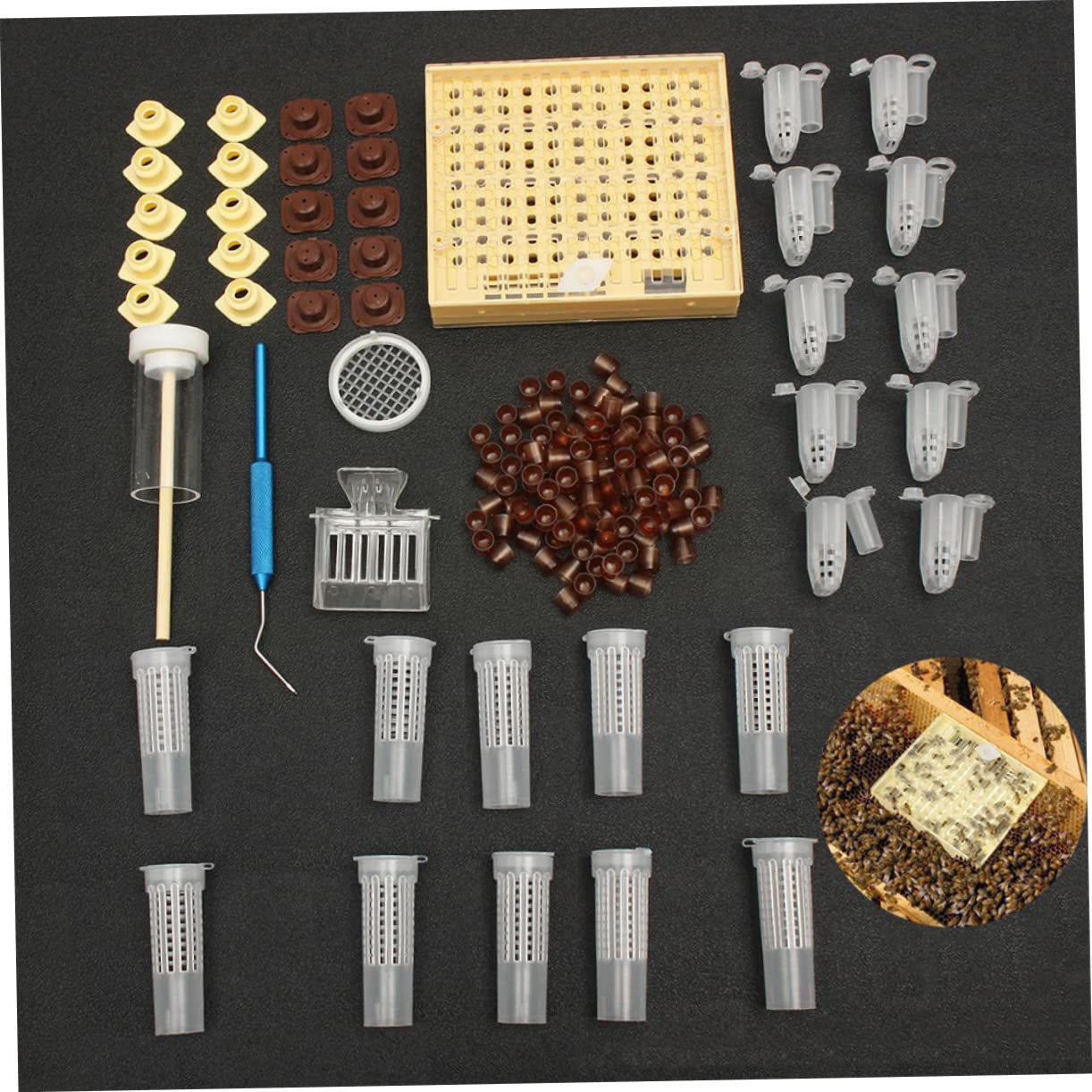 VANZACK Professionale Per Allevamento Regine Api Kit Completo Per Apicoltura Strumenti Per Nutrizione e Allevamento Contenitore Per Facile Da Usare e Trasportare