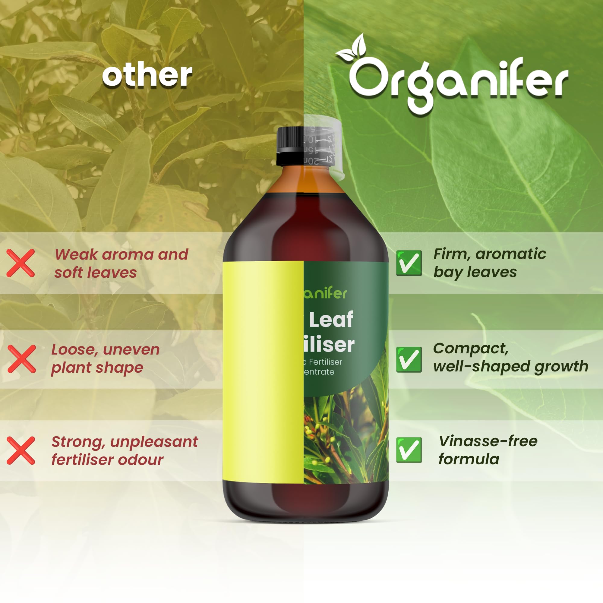 Fertilizante Líquido Para Laurel - 2x1L - NPK 3-4-3 | Fertilizante Para Hojas Sanas Y Raíces Fuertes - Favorece Vitalidad Y Aroma - Organifer