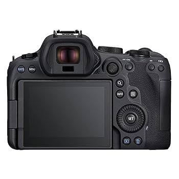 Amazon.com : Canon EOS R6 Mark II with 24-50mm + 420-800mm