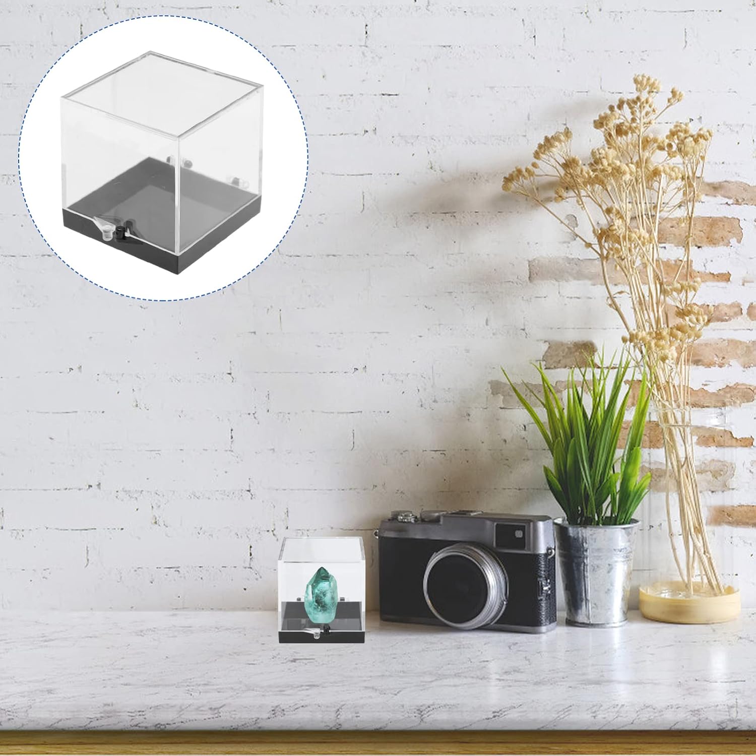 Specimen Display Case Set of 8 Transparent Plastic Shadow Boxes for Collections