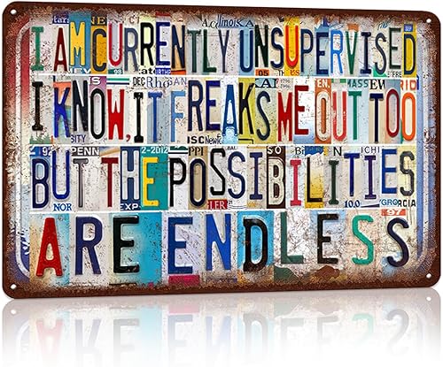 Letreros de metal vintage para decoración de pared para hombre, cueva, garaje, bar, hogar, 12 x 8 pulgadas, I Am Currently Unsupervised.I Know, It