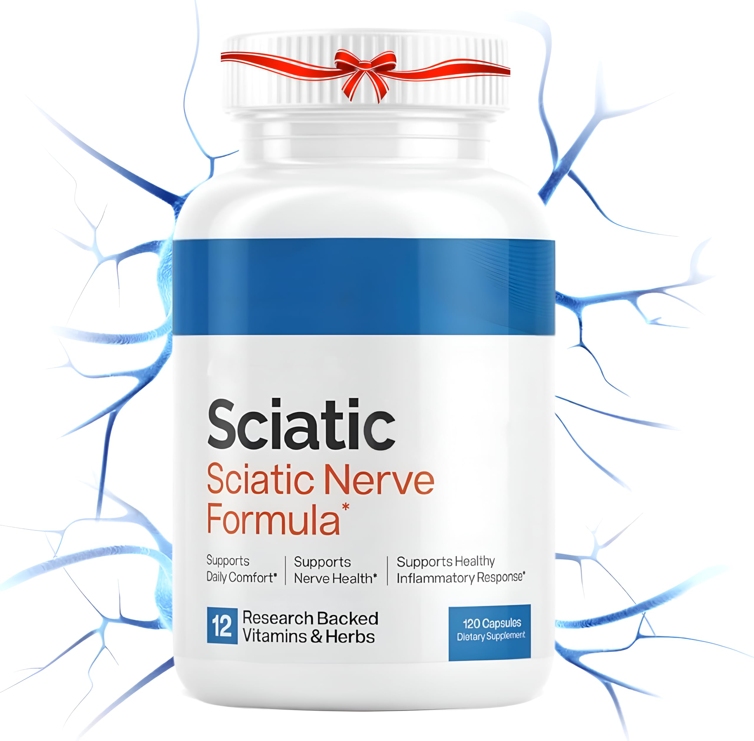 Sciatic Nerve Support Supplement - 120 Capsules (Pack of 1) – Promotes Nerve Health & Vitality– Advanced Nerve Health Formula with AlphaPalm - Dynamic Nerve Relief -Sciatic Nerve Supplement