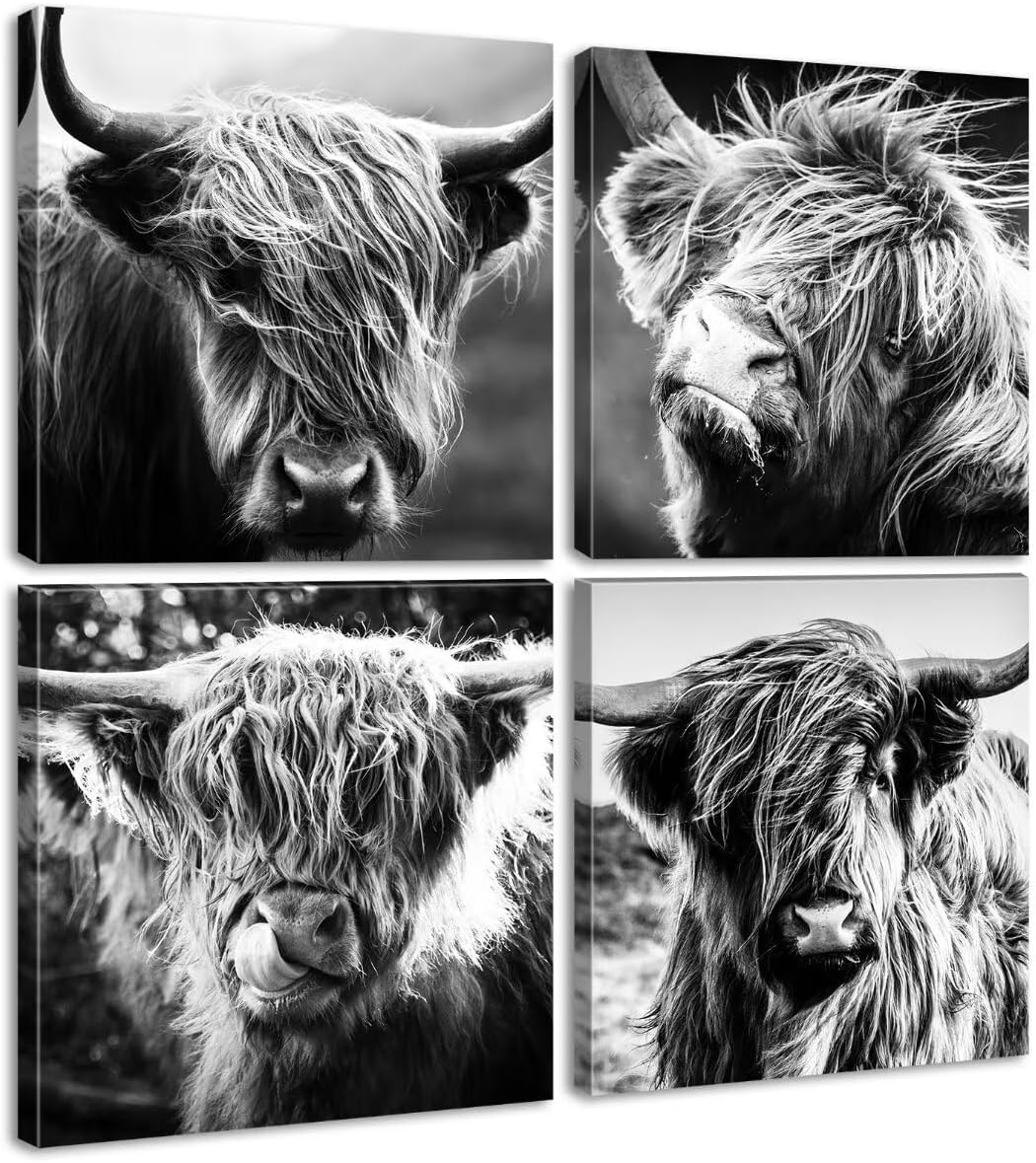 DJSYLIFEHighland Cow Wall Art Farmhouse Decor Canvas Printed Black and White Cow Pictures Wall Decor Modern Western Rustic Artwork Decorations for Bedroom Office Living Room 12"×12"×4