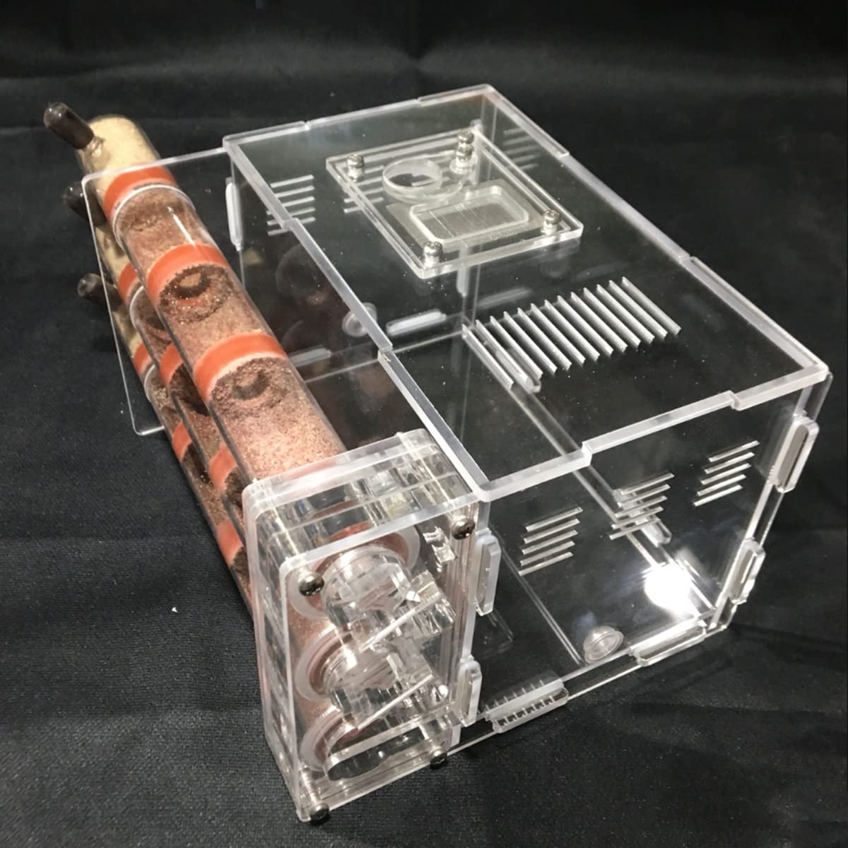 アリ飼育ケース(アリマシーン)【アリの巣】 Amazon.co.jp: アリ飼育キット アリの巣観察キット アリ 自由