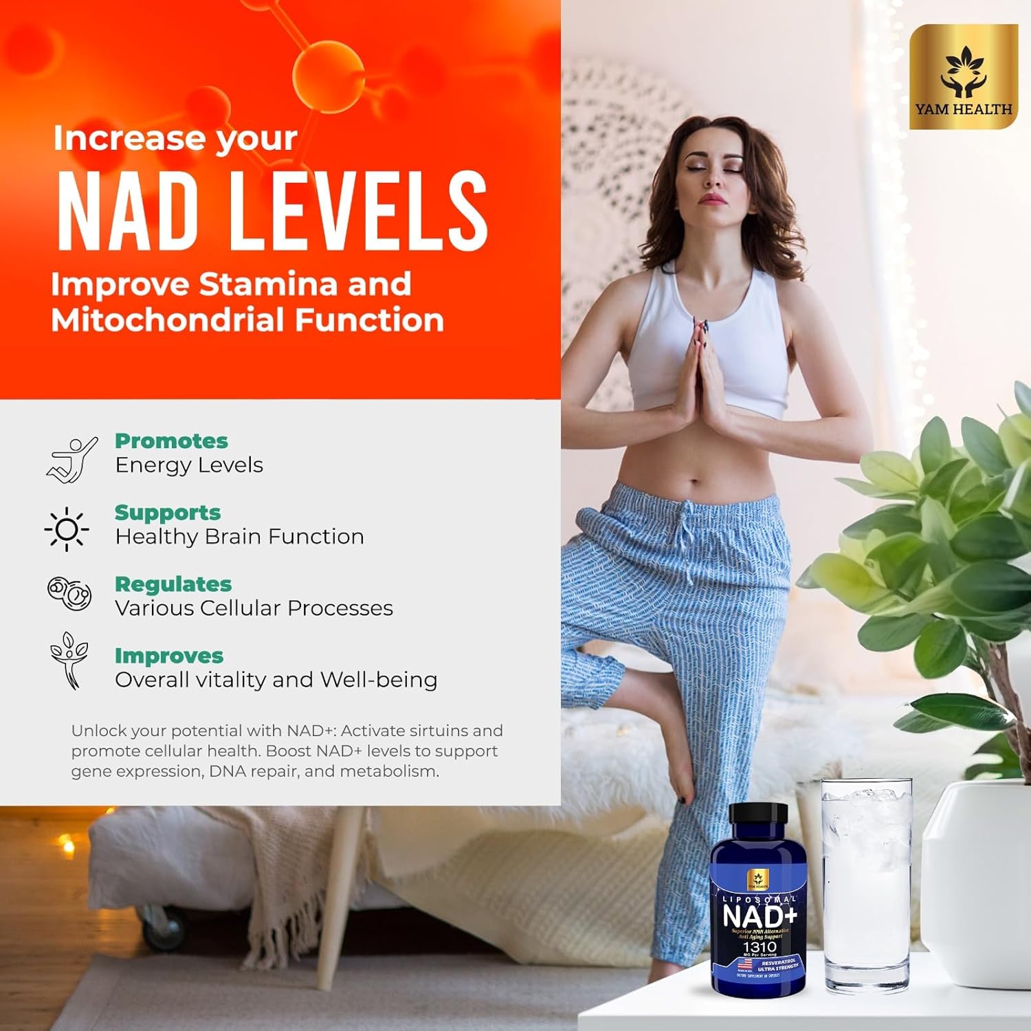 Liposomal NAD Nicotinamide Riboside Equivalent with Trans-Resveratrol 300mg, - Premium Halal NAD Supplement for Energy Metabolism, DNA Repair and Longevity, Vegan, Non-GMO (Pack of 2, 1310 mg)