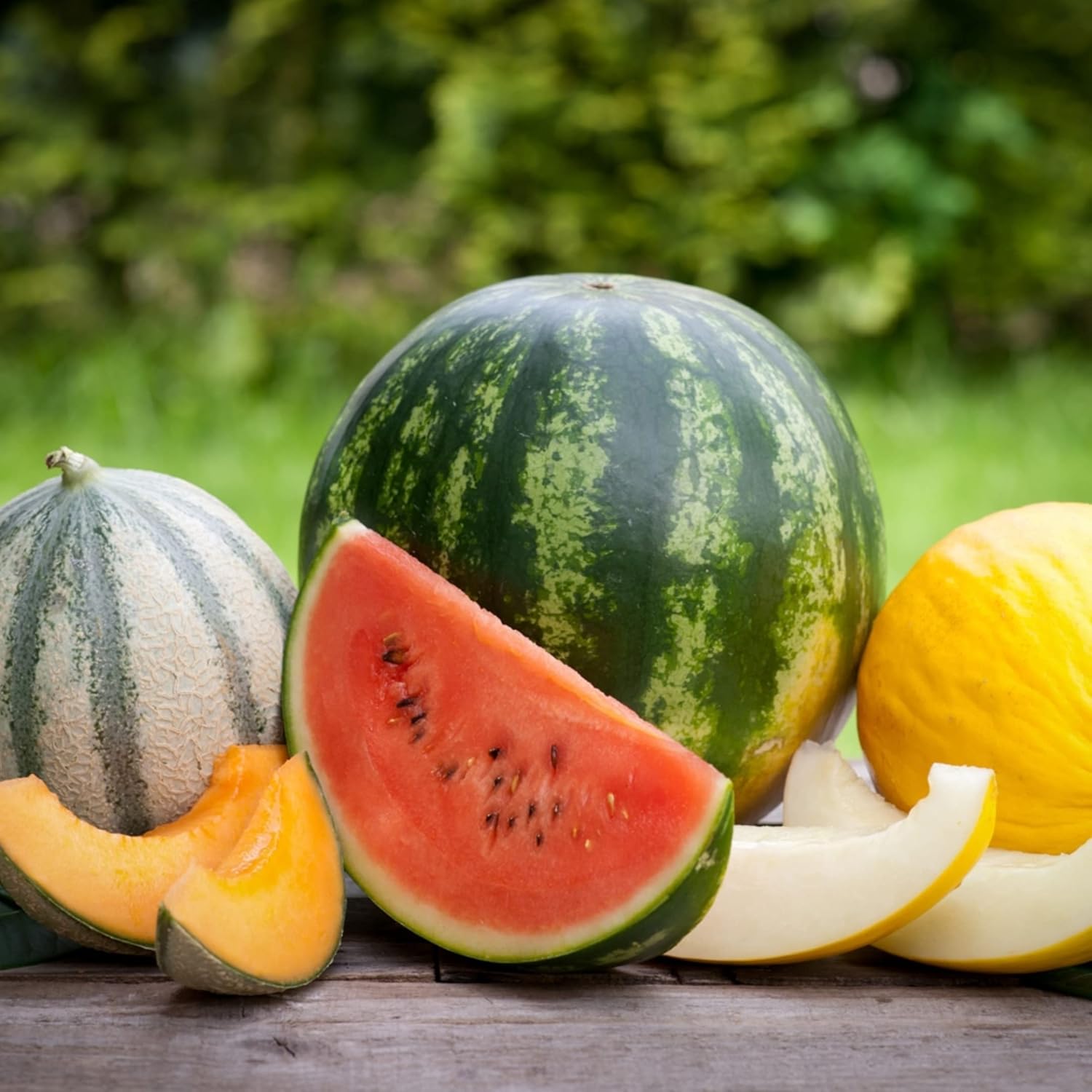 Park Seed Variety of Watermelon Fruit Seeds, Plant Seeds, Easy to Grow, Perfect for Harvesting, Mambo Hyrbid, Pack of 10