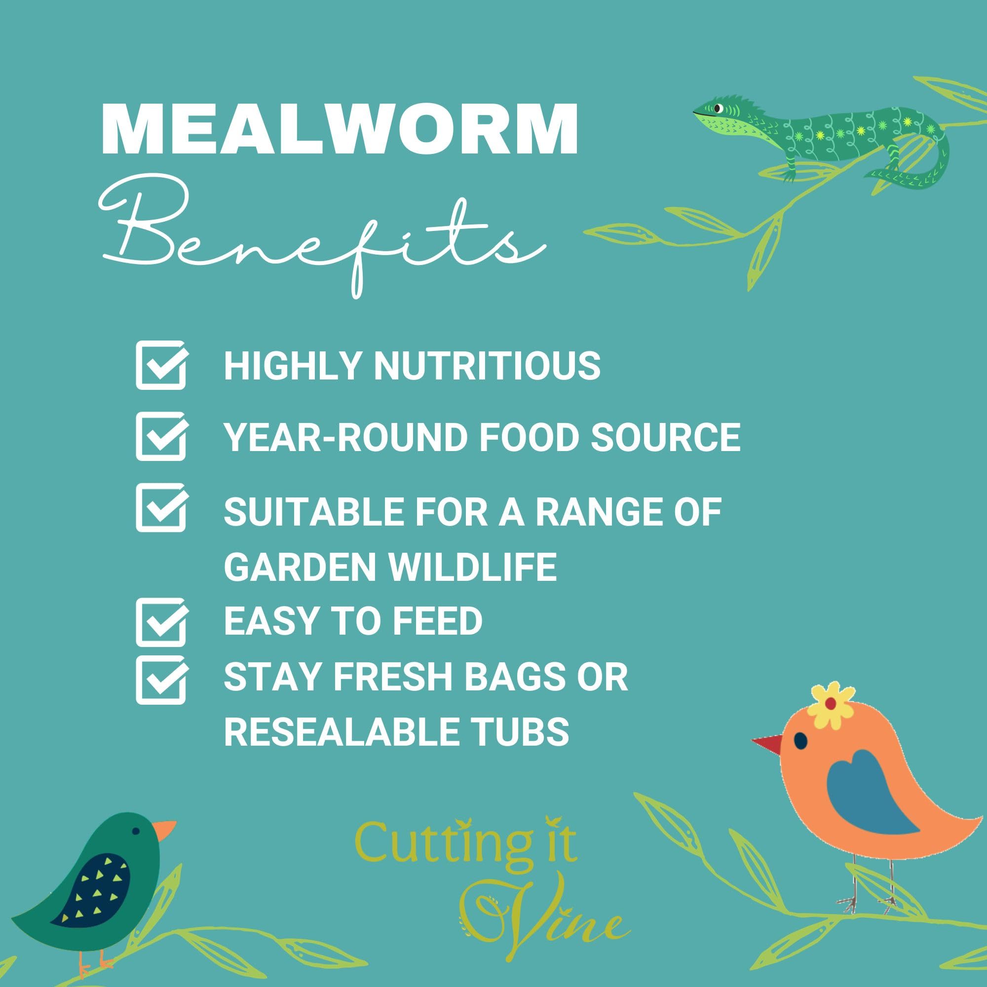 Dried Mealworms - Wild Bird Food 5L Reuseable Bucket (5L Tub) - 4