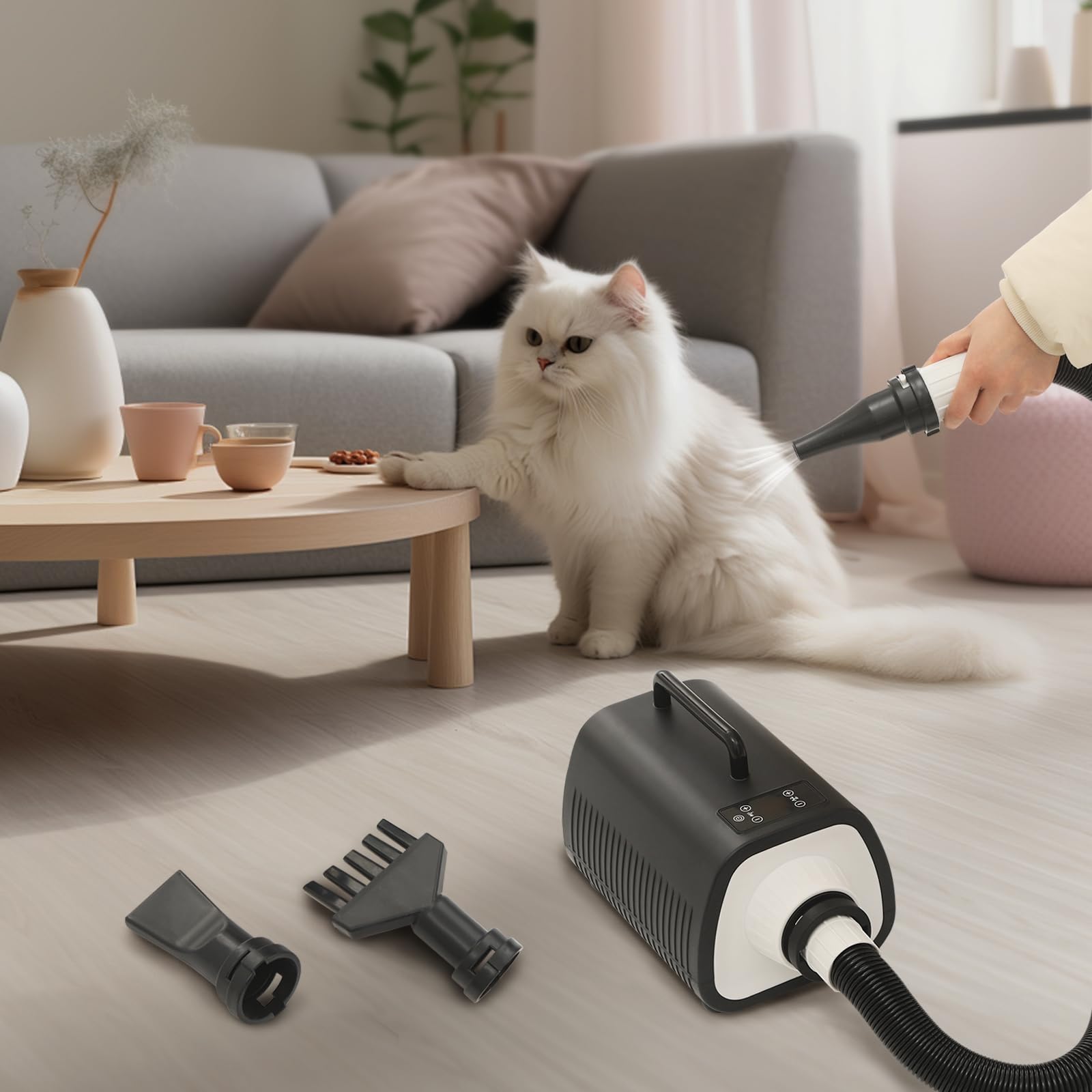 Asciugacapelli per animali domestici, 2100 W, 3 ugelli, 1-9 livelli