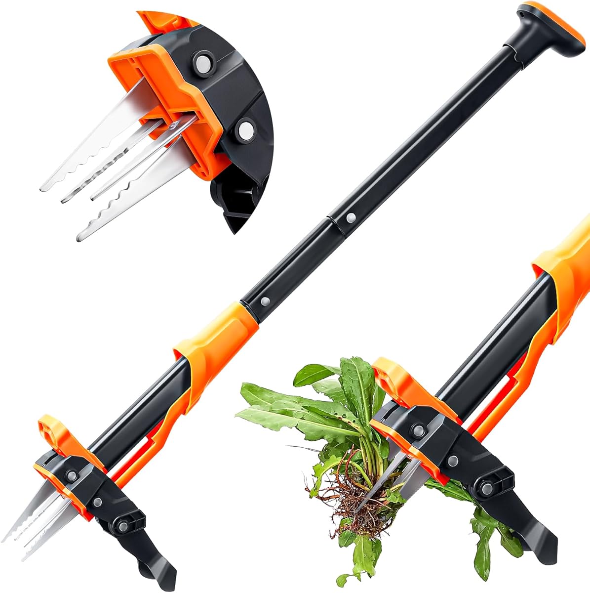 Weed Puller Tool - Stand Up Weed Puller with 4-Claw Steel Head, 39"-46" Retractable Handle & Easy-Eject Mechanism for Dandelions, Clover & More, No Bending or Kneeling