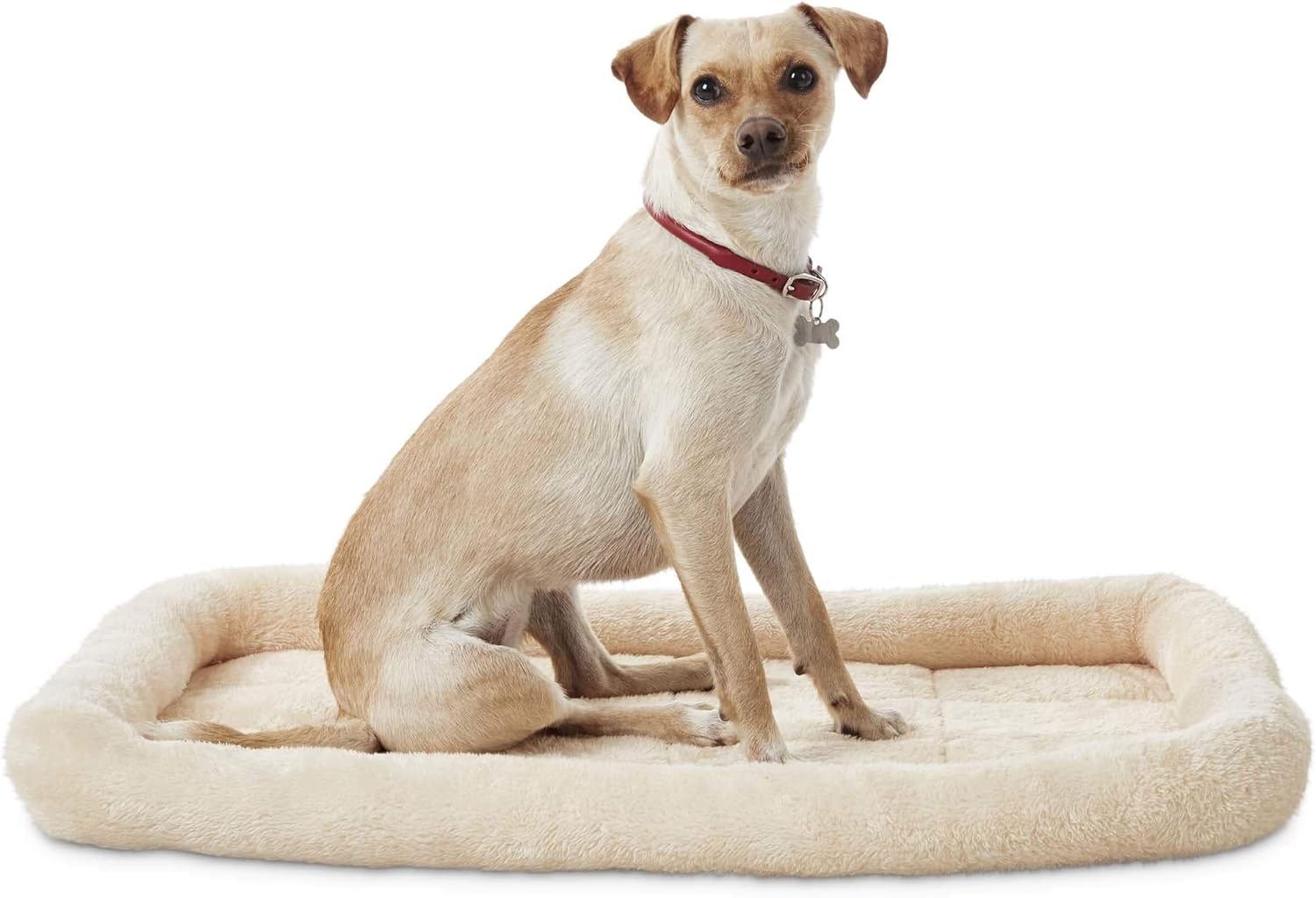 animaze training pads