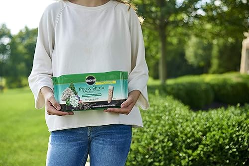 Miniatura 2 de Miracle-Gro - Picos fertilizantes para árboles y arbustos, paquete de 12, paquete de 2