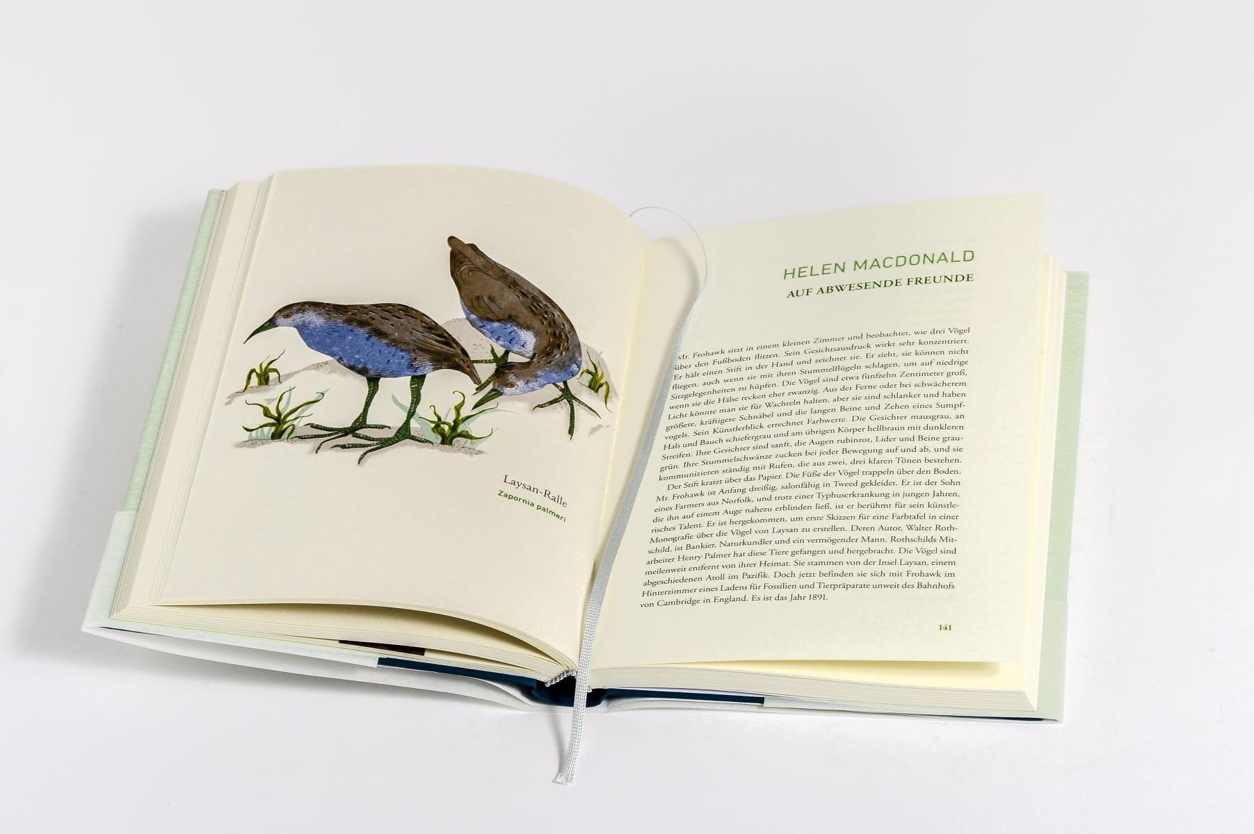 Wir dachten, wir könnten fliegen: 19 Geschichten über den Verlust der Arten und die Kraft der Literatur. - »Eine erhellende, beglückende Leseerfahrung.« Denis Scheck