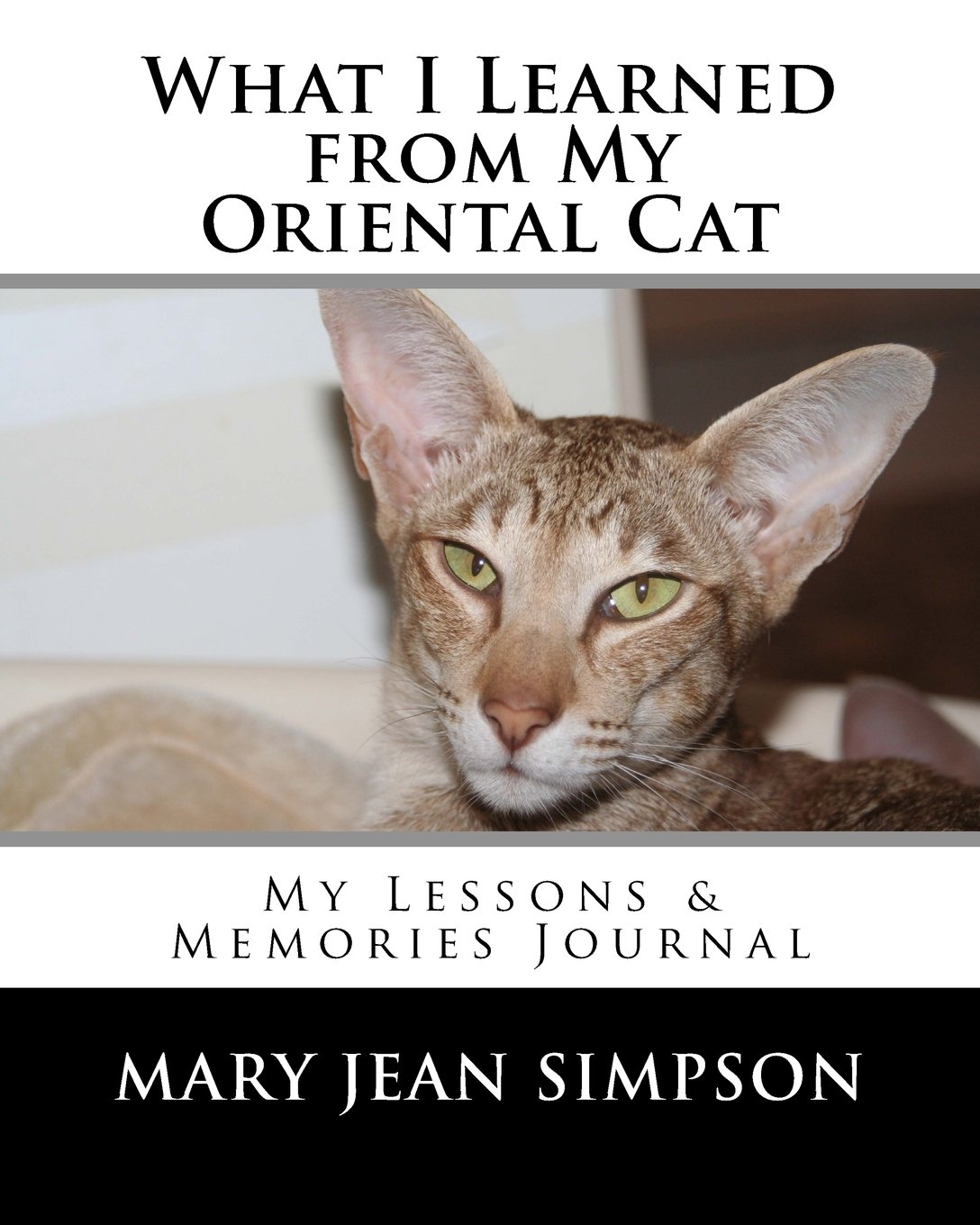 What I Learned from My Oriental Cat: My Lessons & Memories Journal