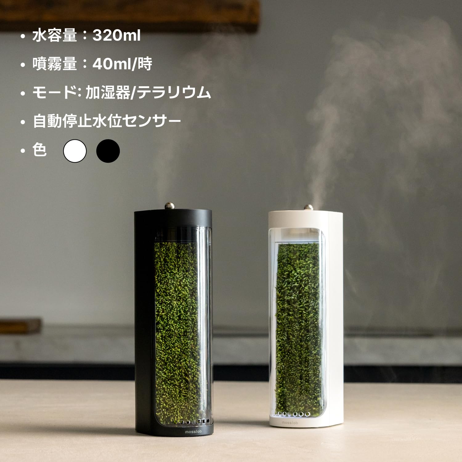 Amazon.co.jp: Mosslab Moss Air(モスエア) - 生きている苔の