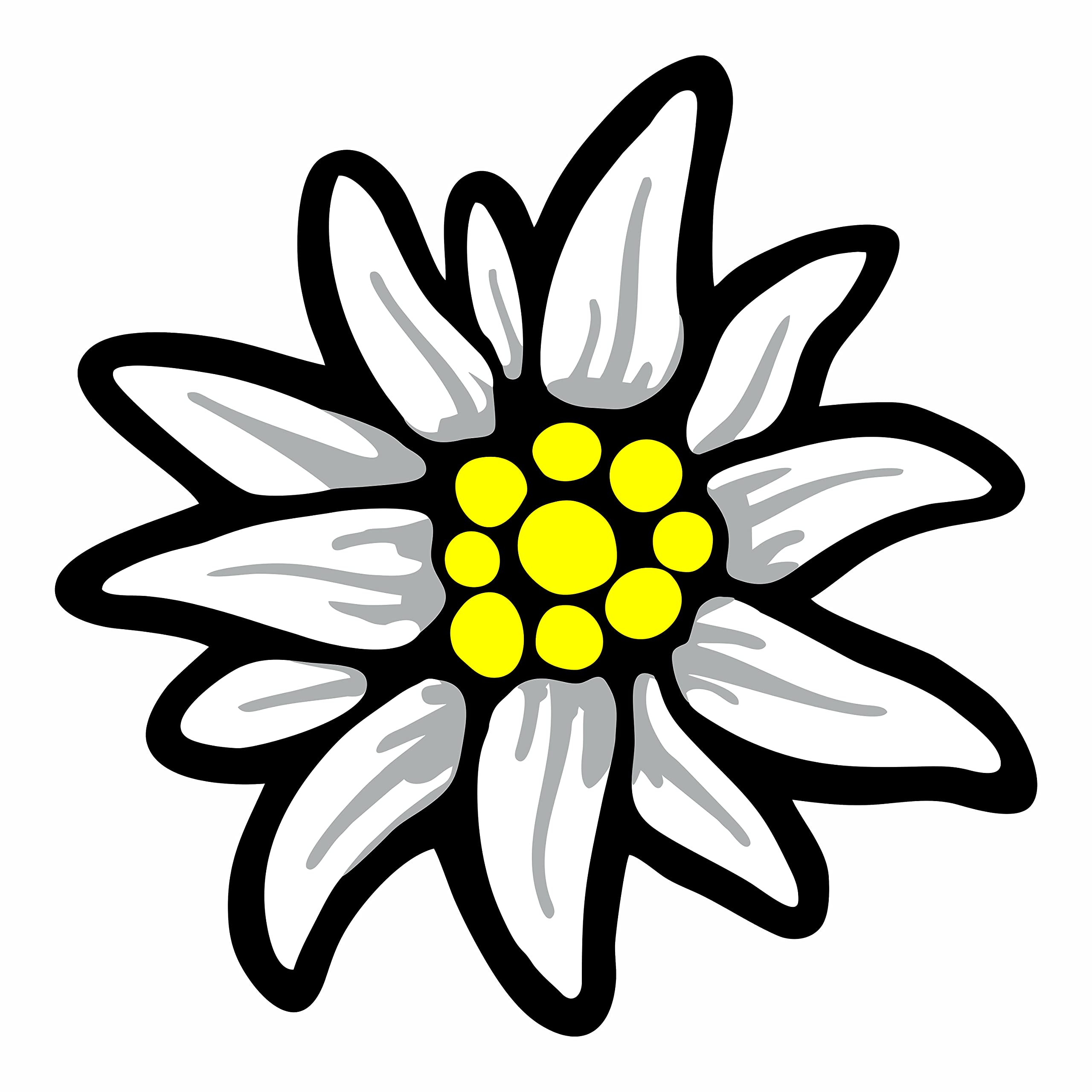 Generisch Sticker | Alps Edelweiss Bavaria | 8 cm x 8 cm Car Sticker | Made in Germany