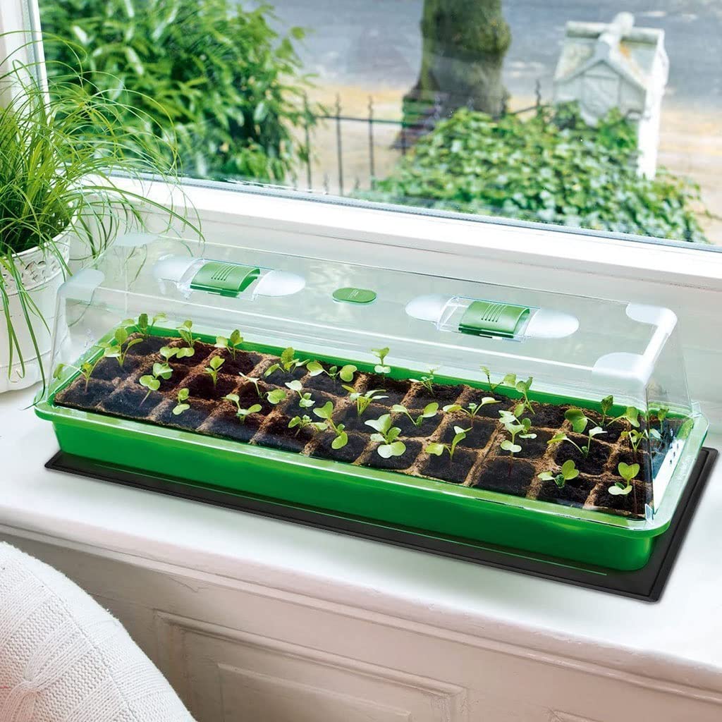 FAXIOAWA Tappetino riscaldante Impermeabile per piantine con regolatore del termostato Digitale Base di partenza sicura per la germinazione delle Piante per Il Giardinaggio Domestico al Coperto