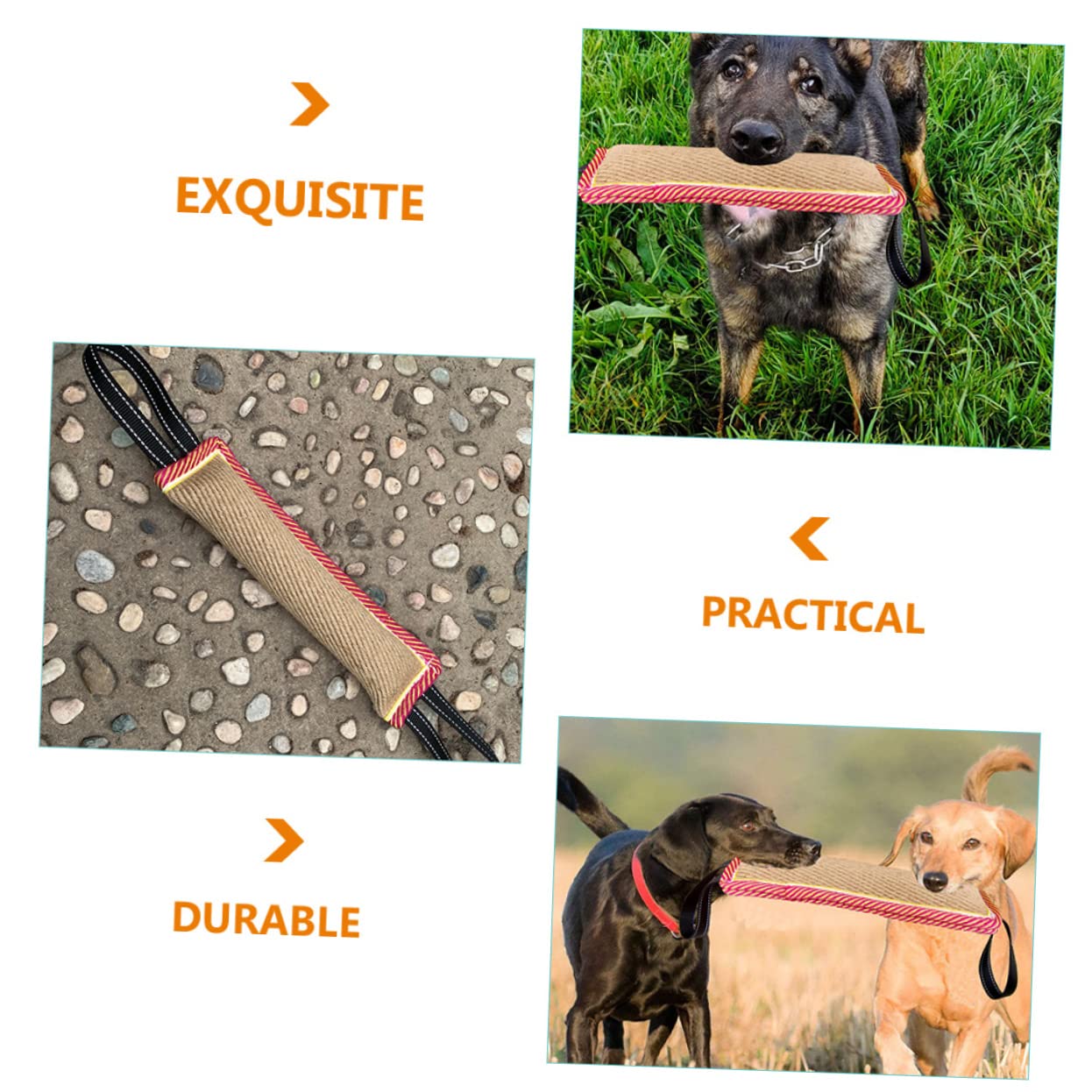 Sosoport 2pezzi Giocattolo Interattivo Per Cani Molar Morsetto Per Addestramento e Masticazione Resistente e Sicuro Per Allenamenti All Aperto e Giochi Di Masticazione Per Pet Dog
