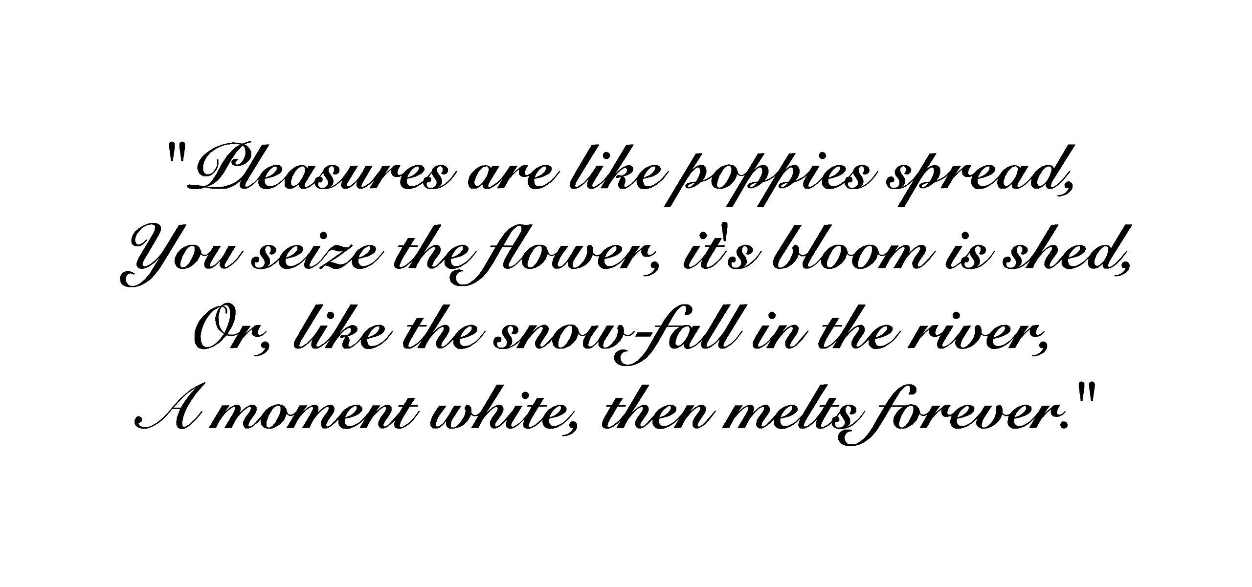 Lightningsigns Robert Burns Pleasures Are Poppies Spread Poem Quote Sticker Wall Art Decal Wa29 - Small