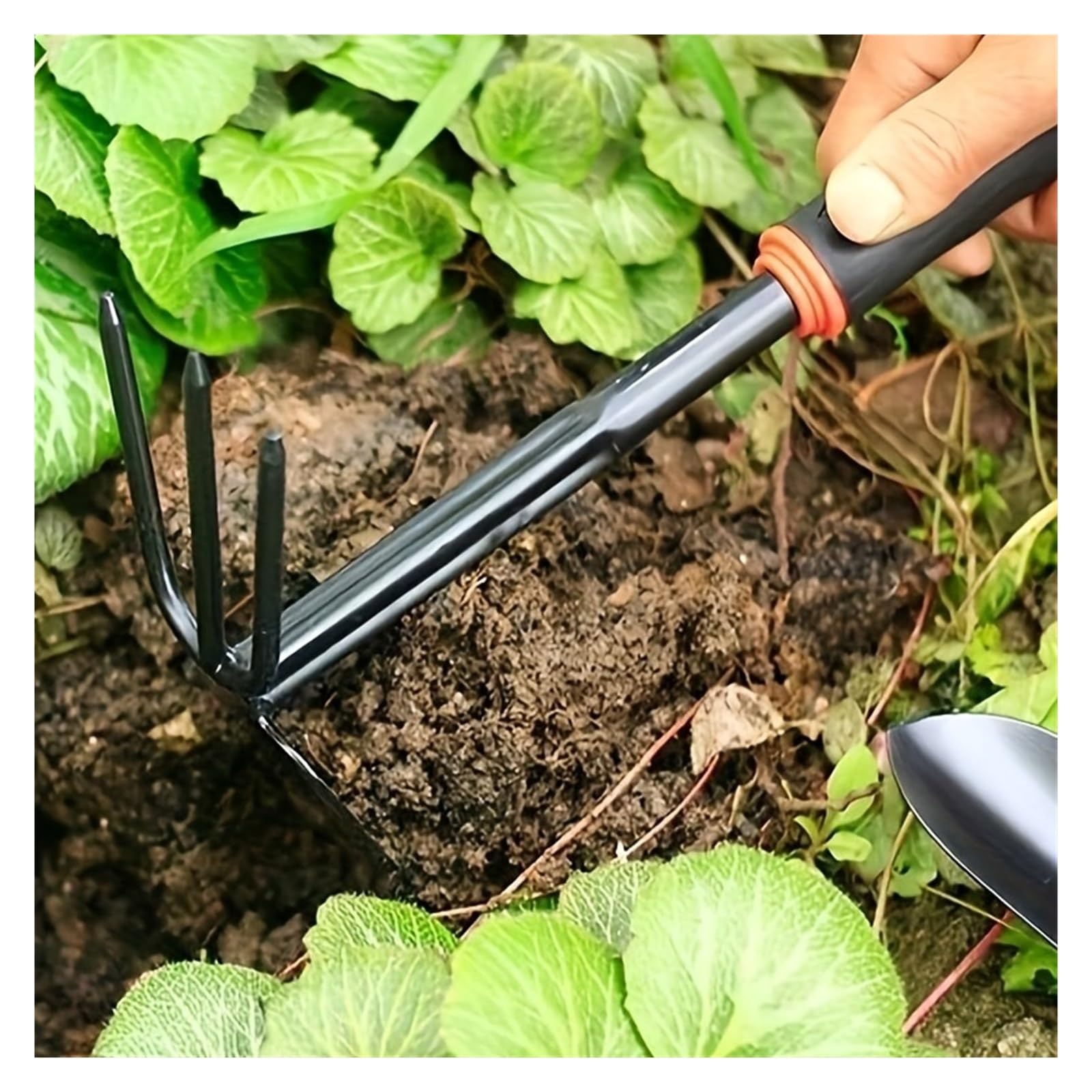 Generico Un Set di Quattro Attrezzi da Giardinaggio for Esterni: Una Piccola Pala for piantare Fiori, Un rastrello a Cinque Punte, a Due